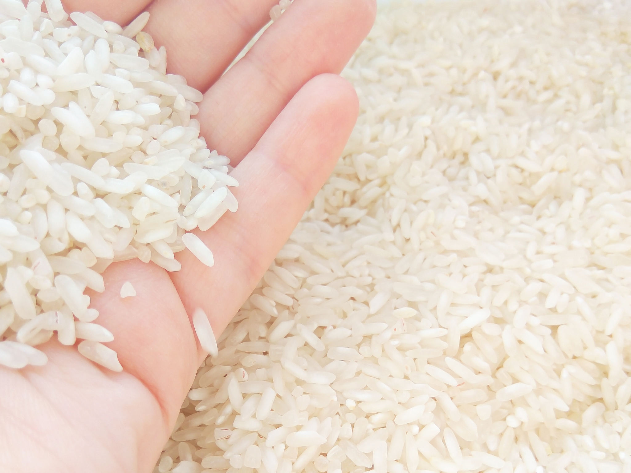 翻译这句话：According to data from the Food and Agriculture Organization up to 30 of the rice necessary to meet demand is currently imported from Southeast Asia SEA 178 and India 120