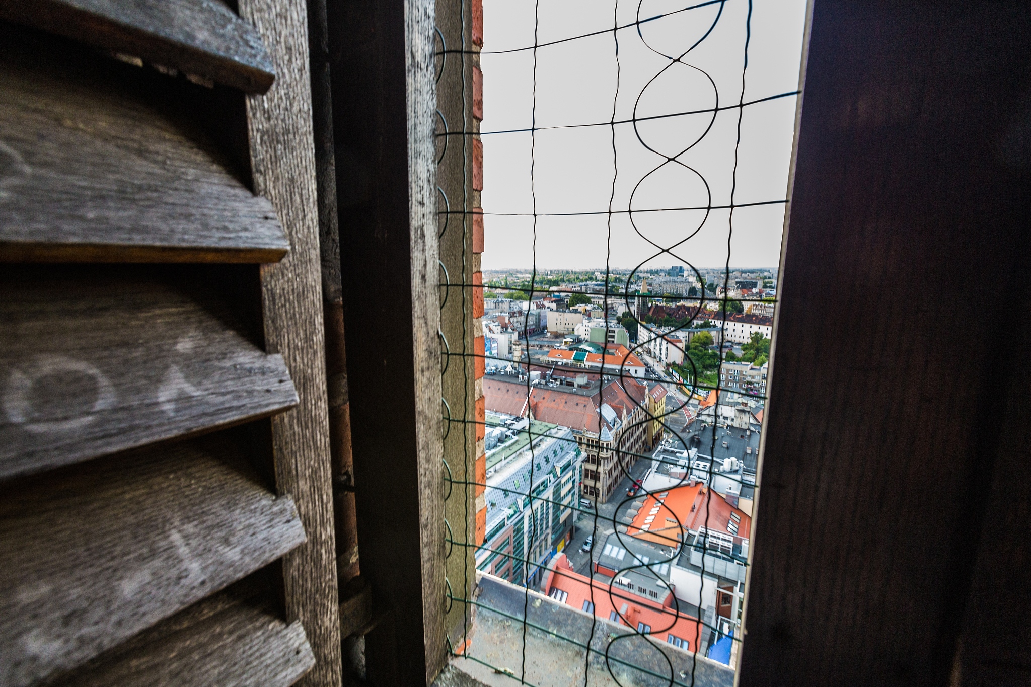 农业科技小院科普图书项目：成果与未来展望