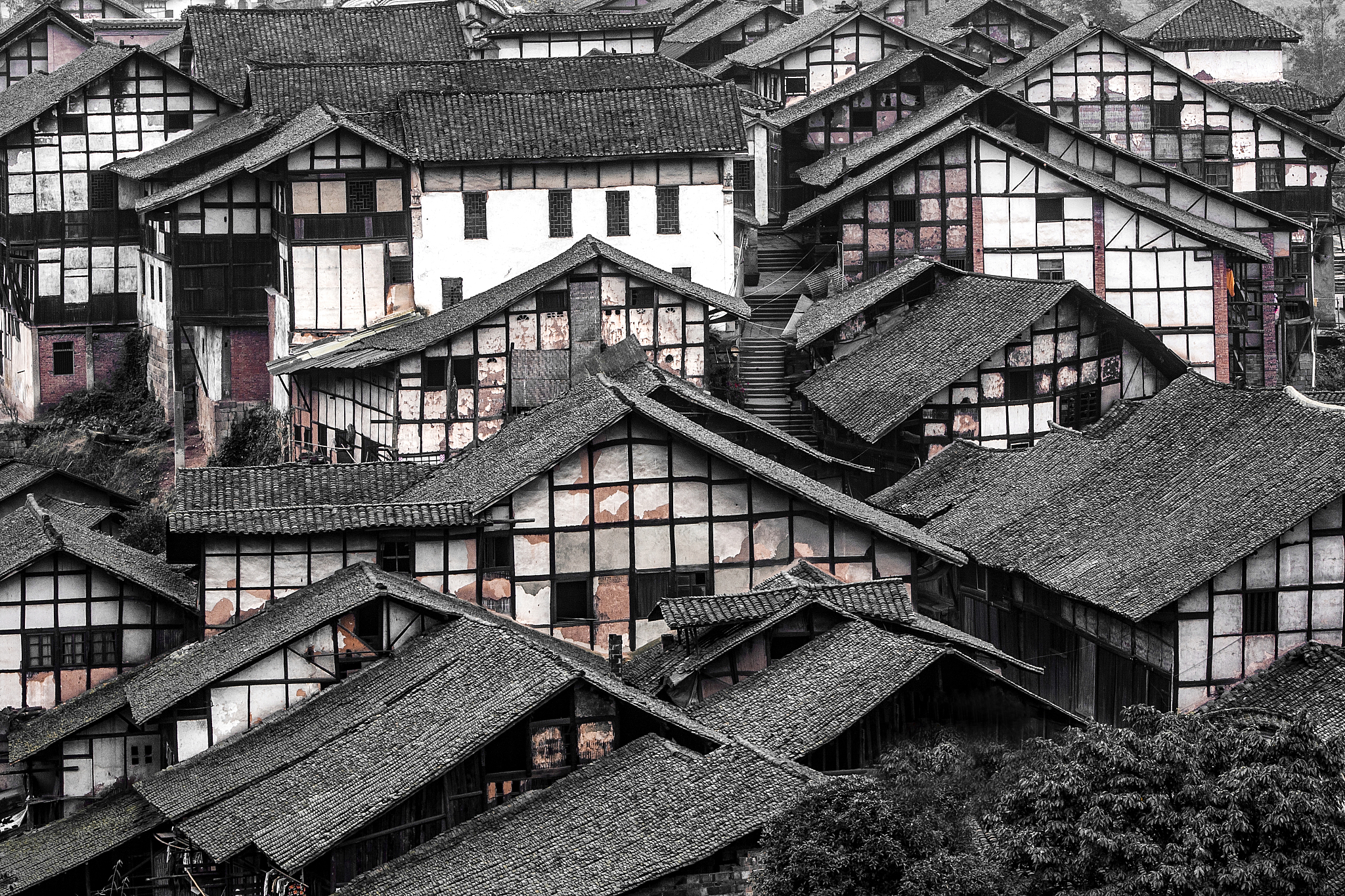 合江县福宝职业中学2022年招生简章