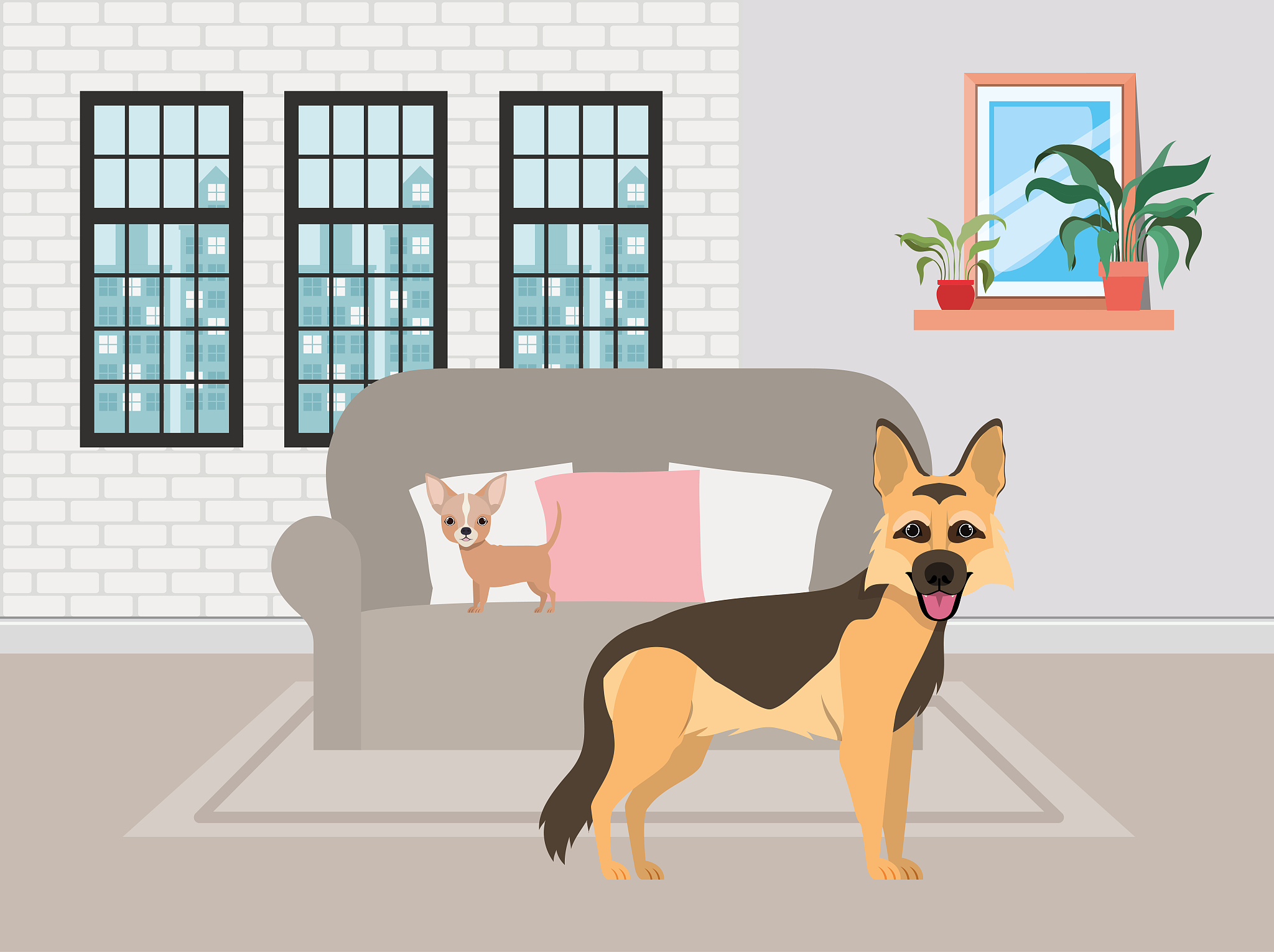 舍友的狗总是叫怎么办？实用解决方法分享