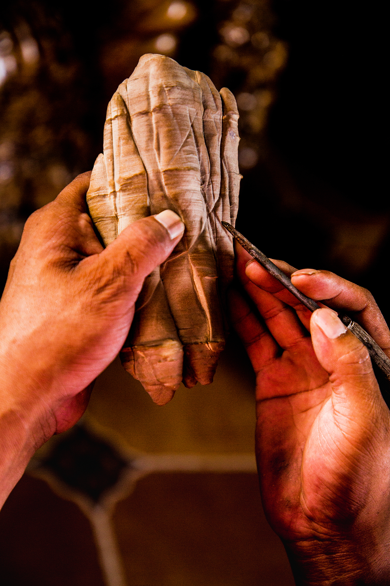 日常生活中美的现象：探索美学与人生的意义