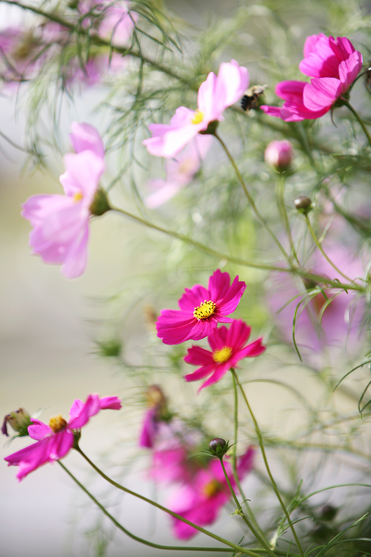泉州华光职业学院摄影摄像技术商业广告摄影方向商业人专业专业就业方向有哪些