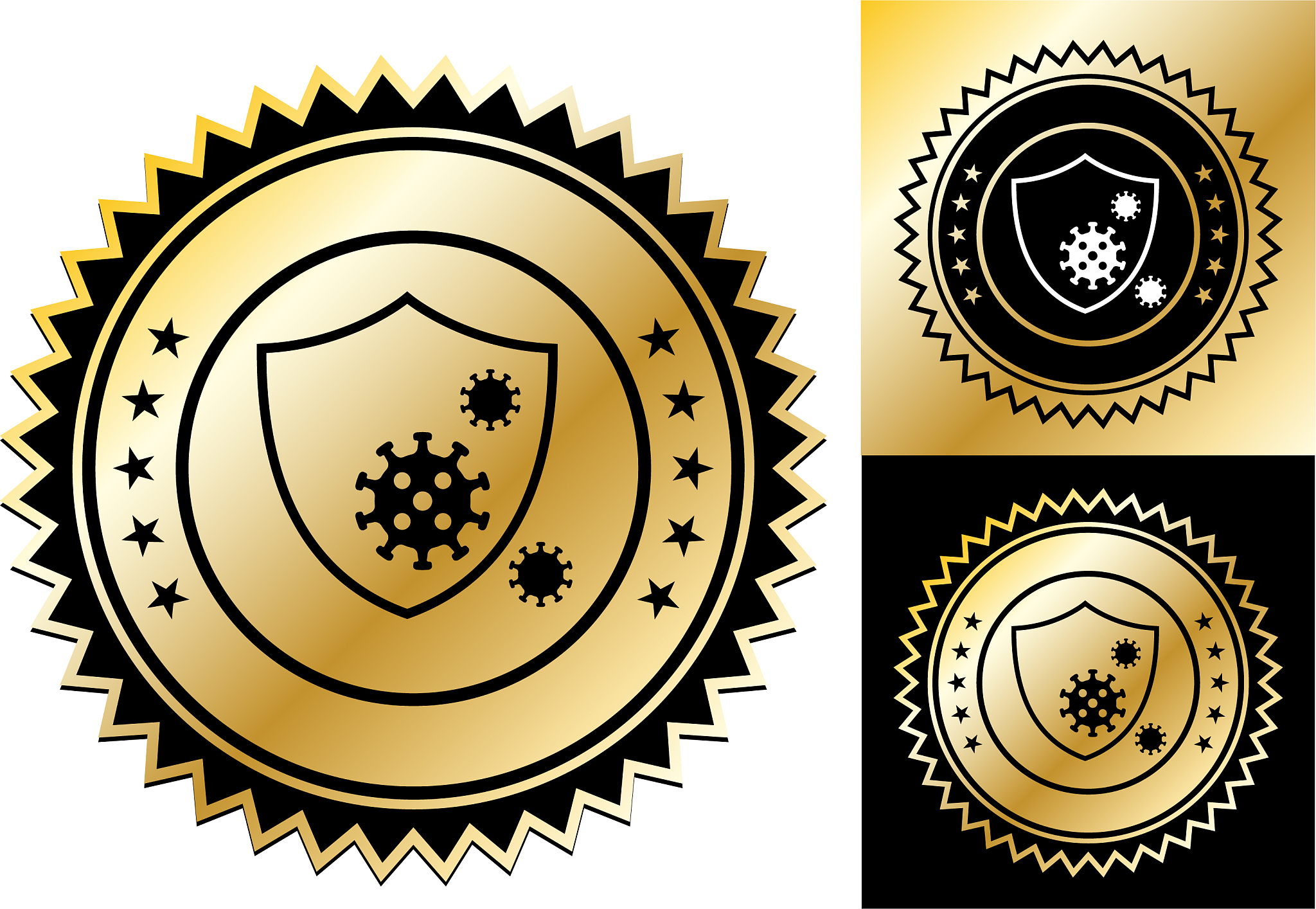 virus protection shield icon