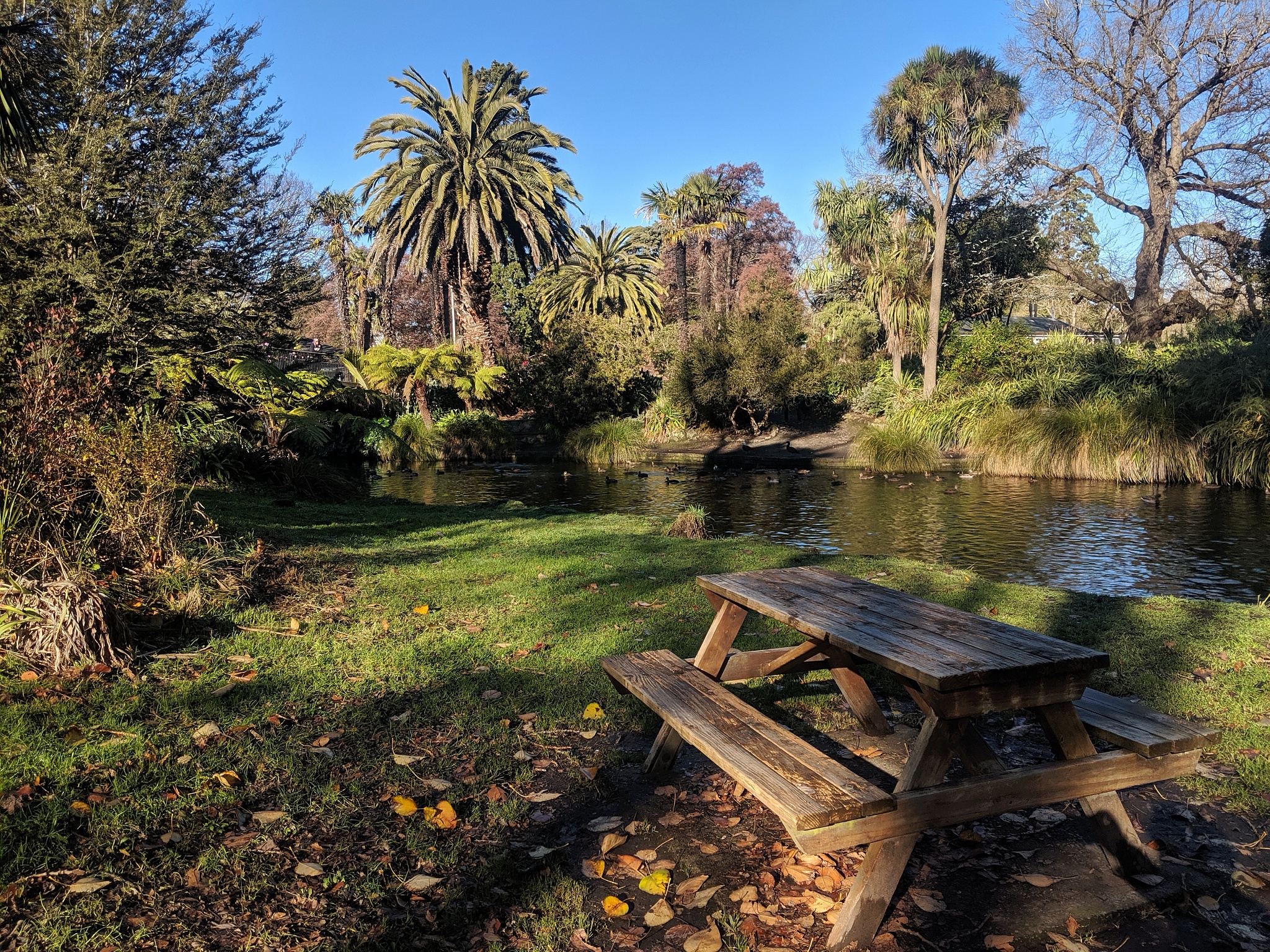 Spring Hill, FL: Explore Nature, Family Fun & Affordable Living