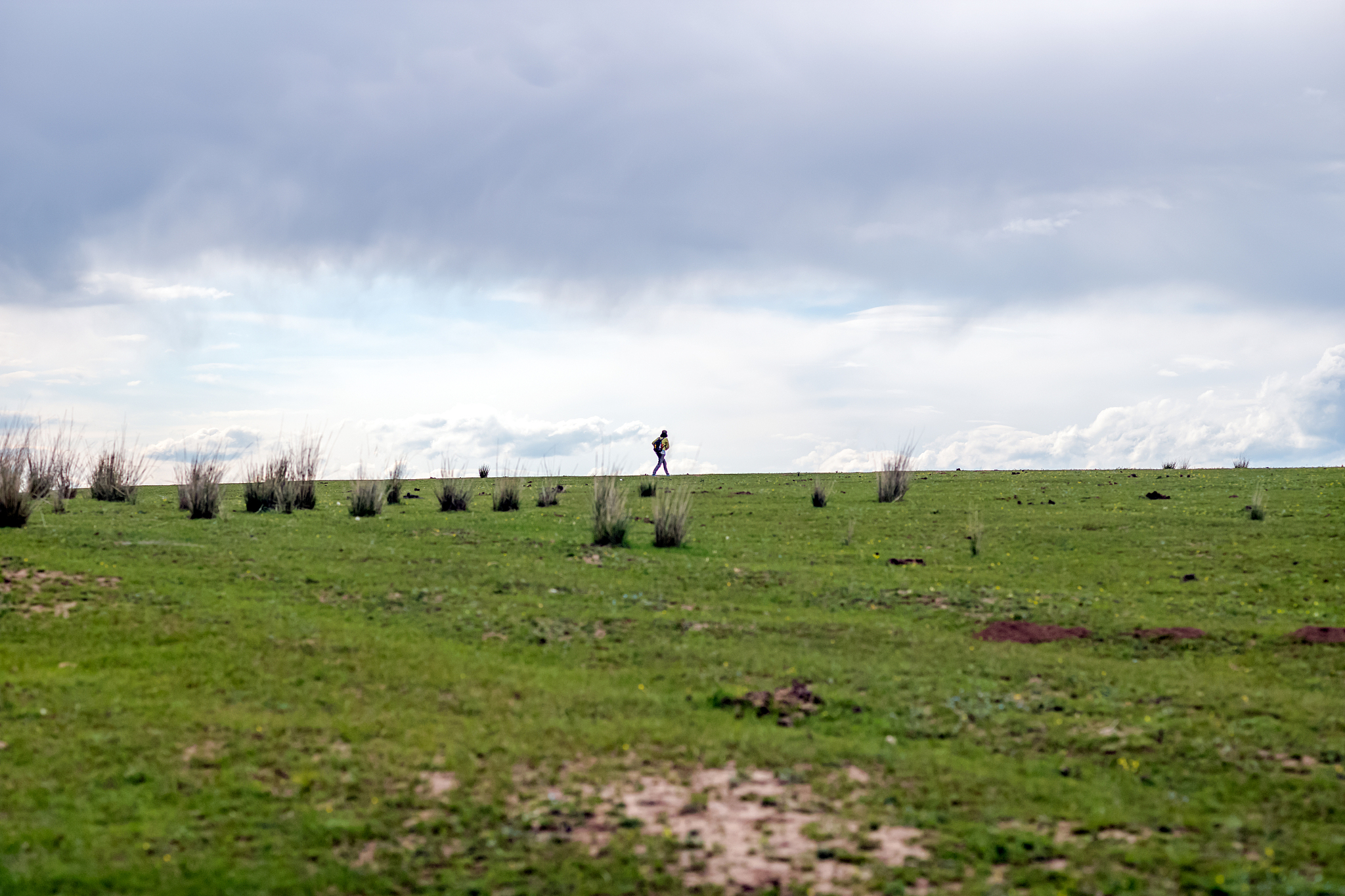 围绕草原牛羊高山山中住着一家浪当前在线提问数过多请刷新重新访问每个Key每天只能使用300次!继续