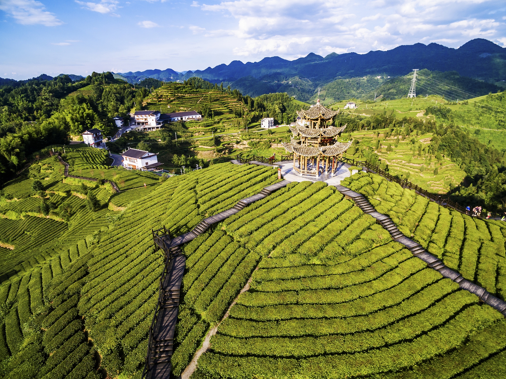 绥阳县经济社会概况