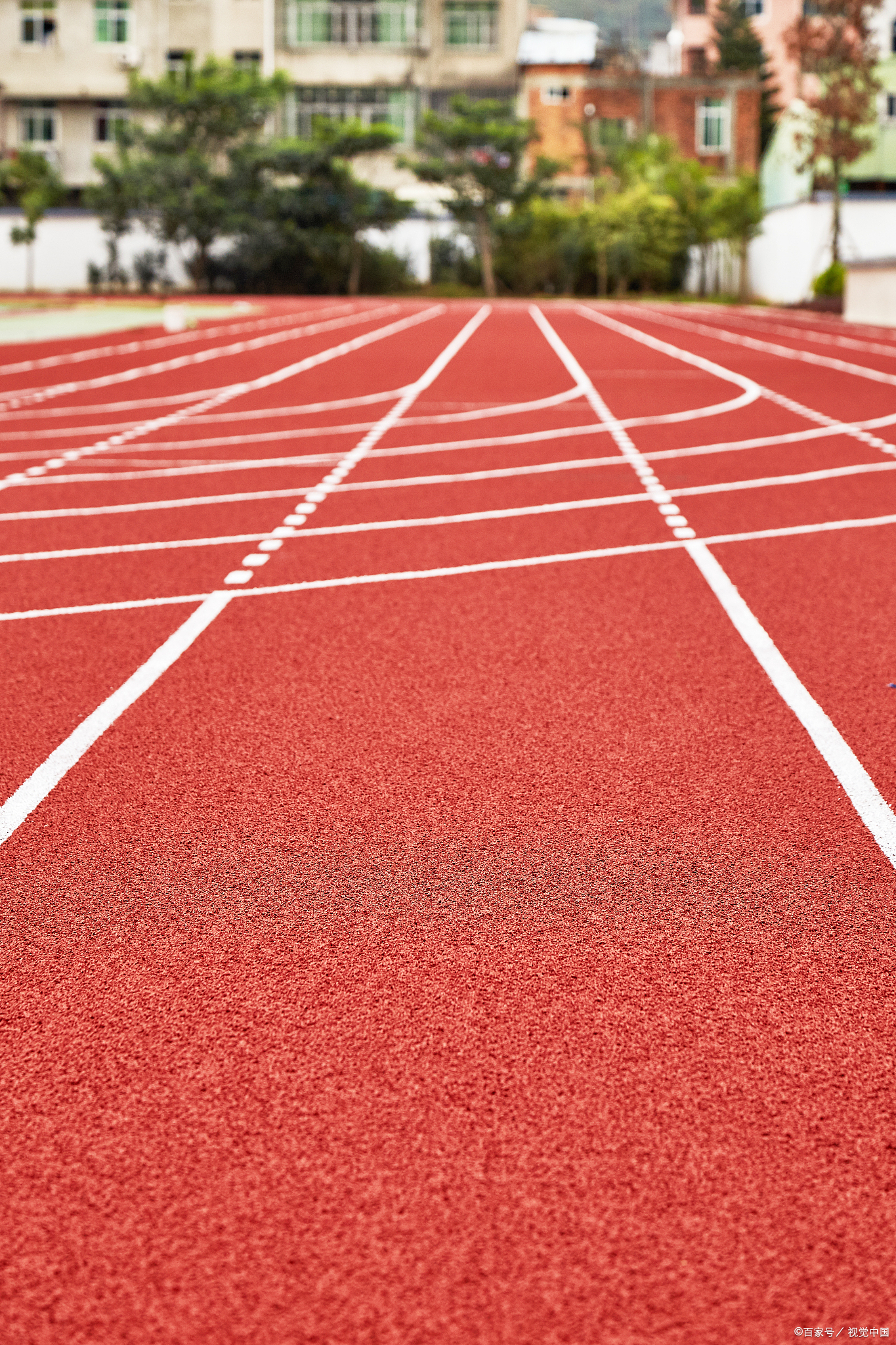 一文读懂：塑胶跑道的种类与选购要点