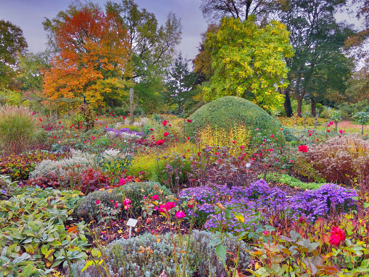 用中文写一篇英国、美国、意大利等国家学者关于《彩叶树种在园林中的应用》的研究现状至少引用5篇最新文献主要内容进行综述注明作者名称。