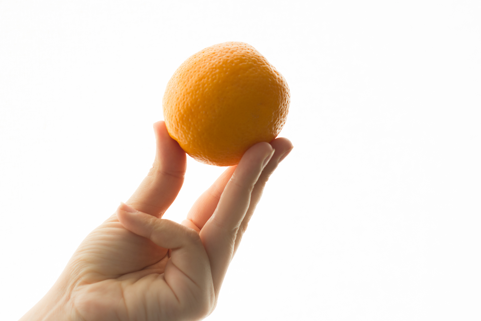hand holding an orange