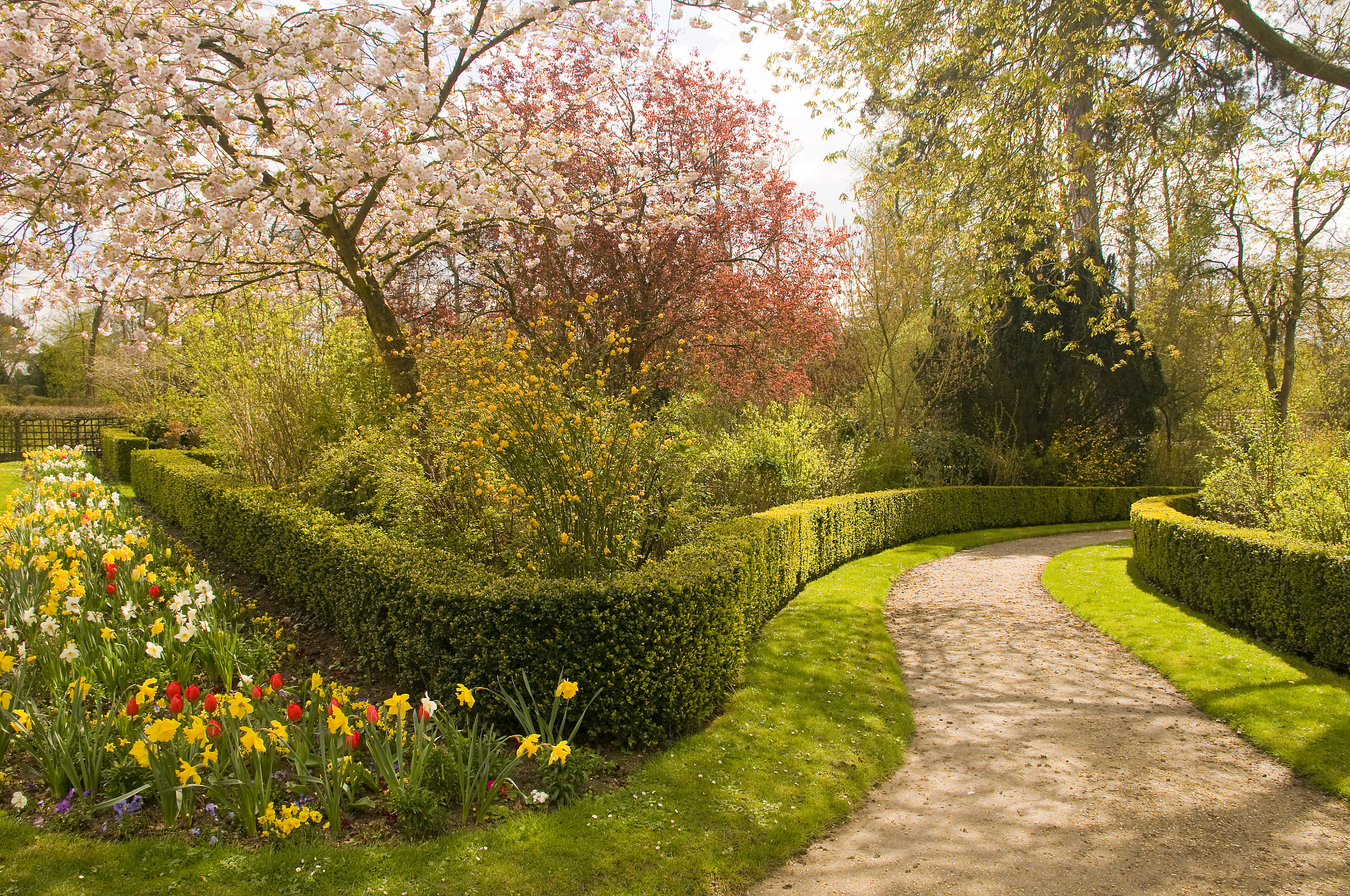 兰州职业技术学院园林技术专业都学些什么