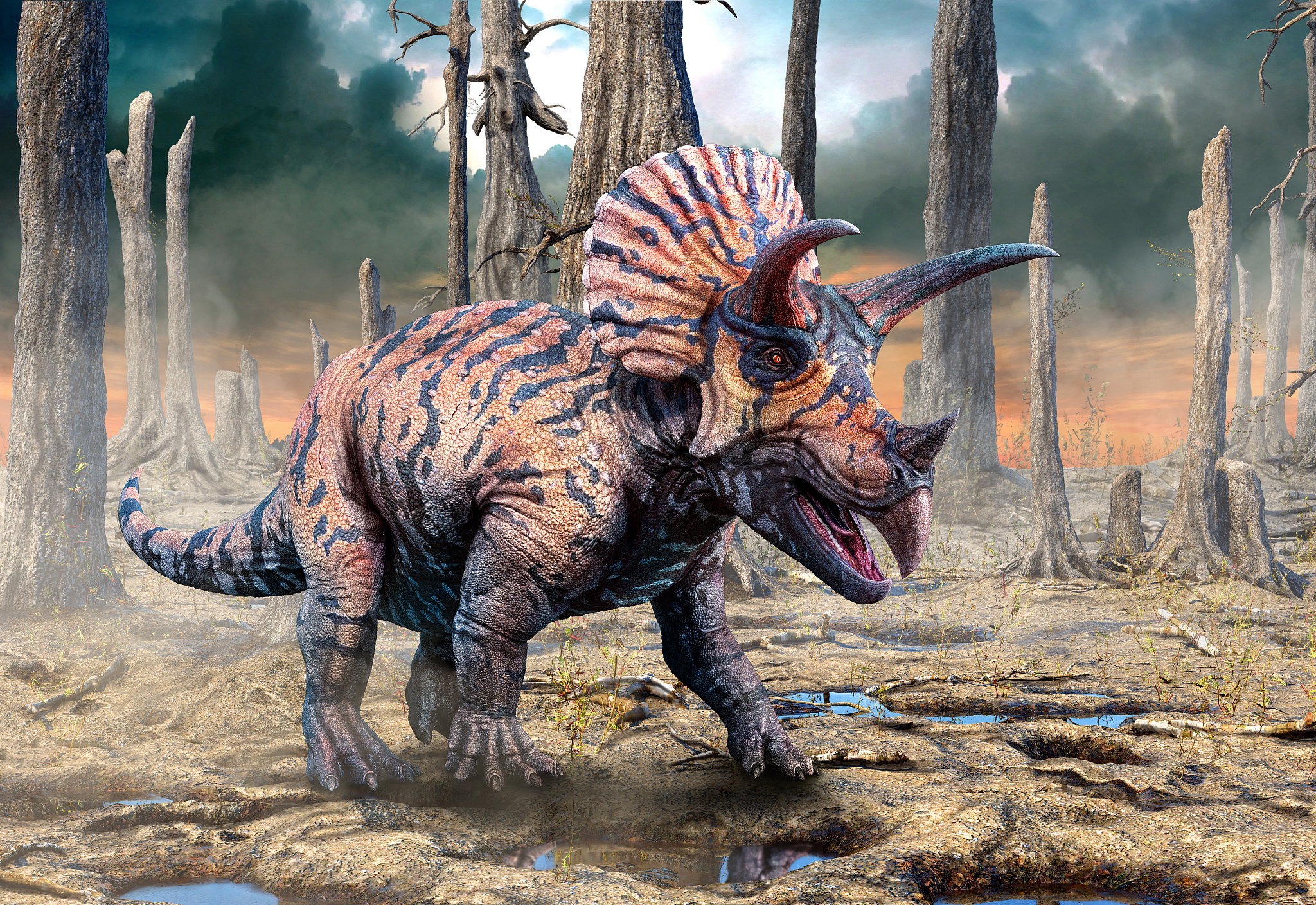 triceratops from the cretaceous era scene 3d illustration