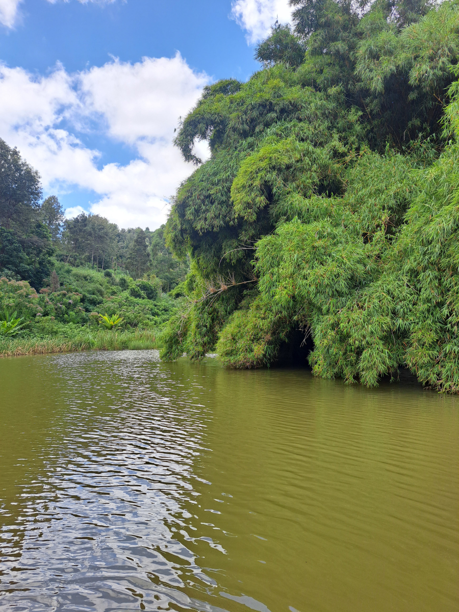 黄埔丹水坑风景区(自然风光与历史传承的完美结合)