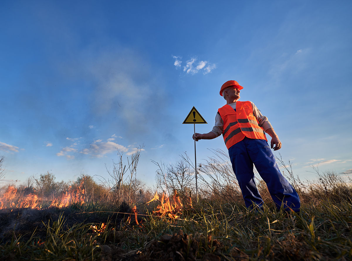 应用生态学期刊 (Journal of Applied Ecology): 促进生态学实践应用