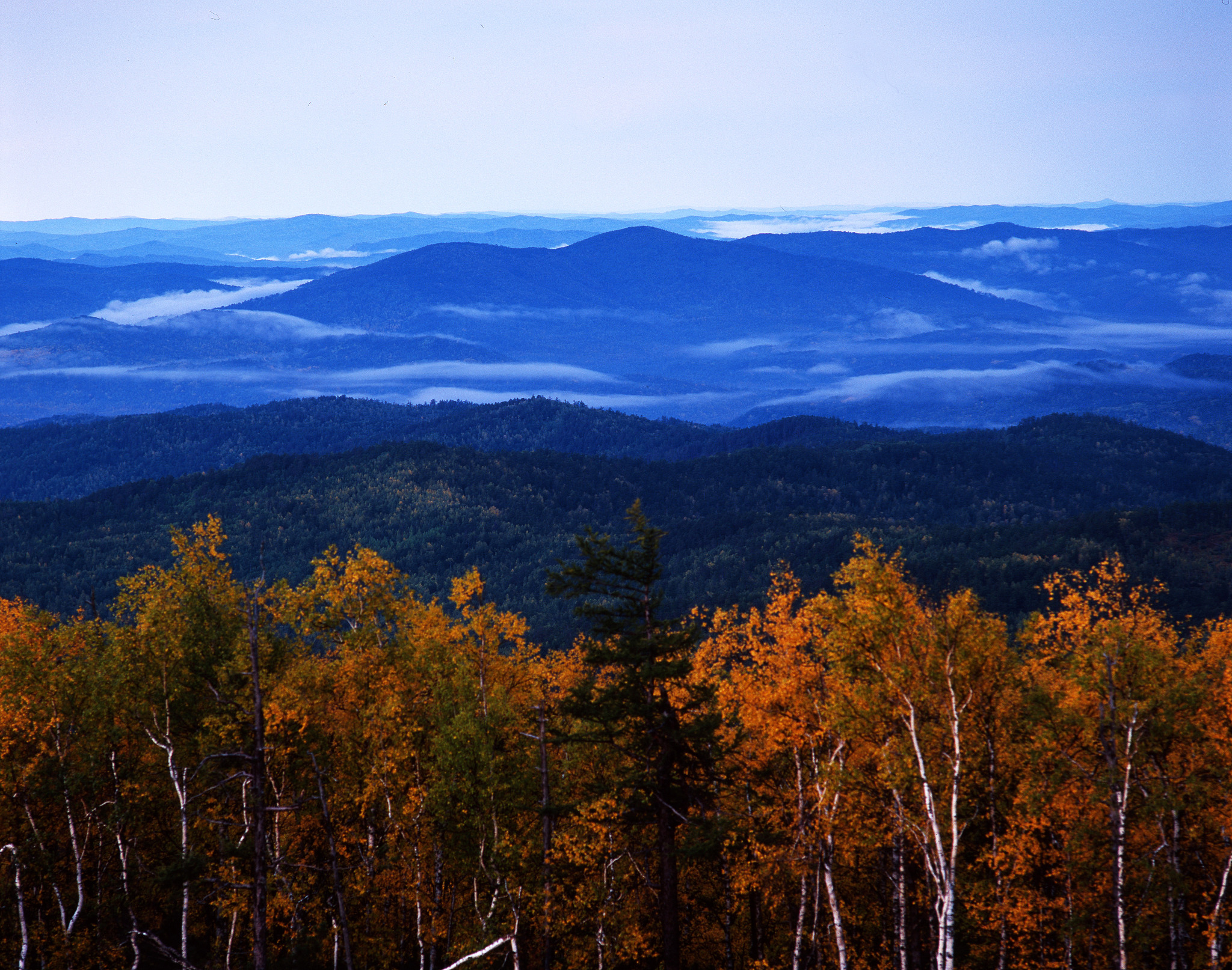 2023年报读森林生态旅游专业就业前景好不好？