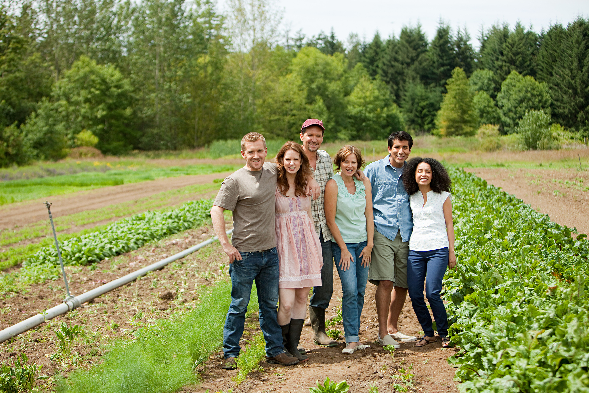 Strengthening Farmer Livelihoods: Evidence-Based Strategies for Vulnerability Reduction