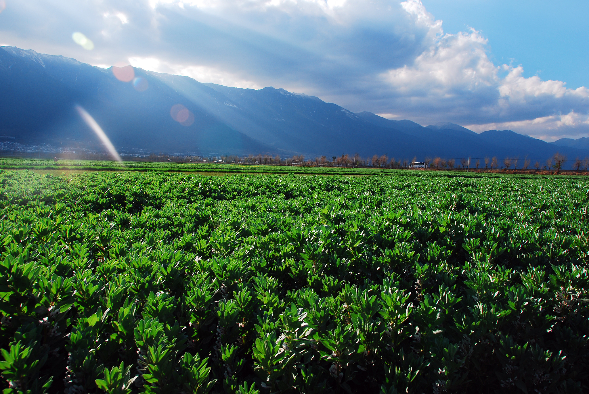 2023年去云南读卫校好吗？云南卫校优势解析