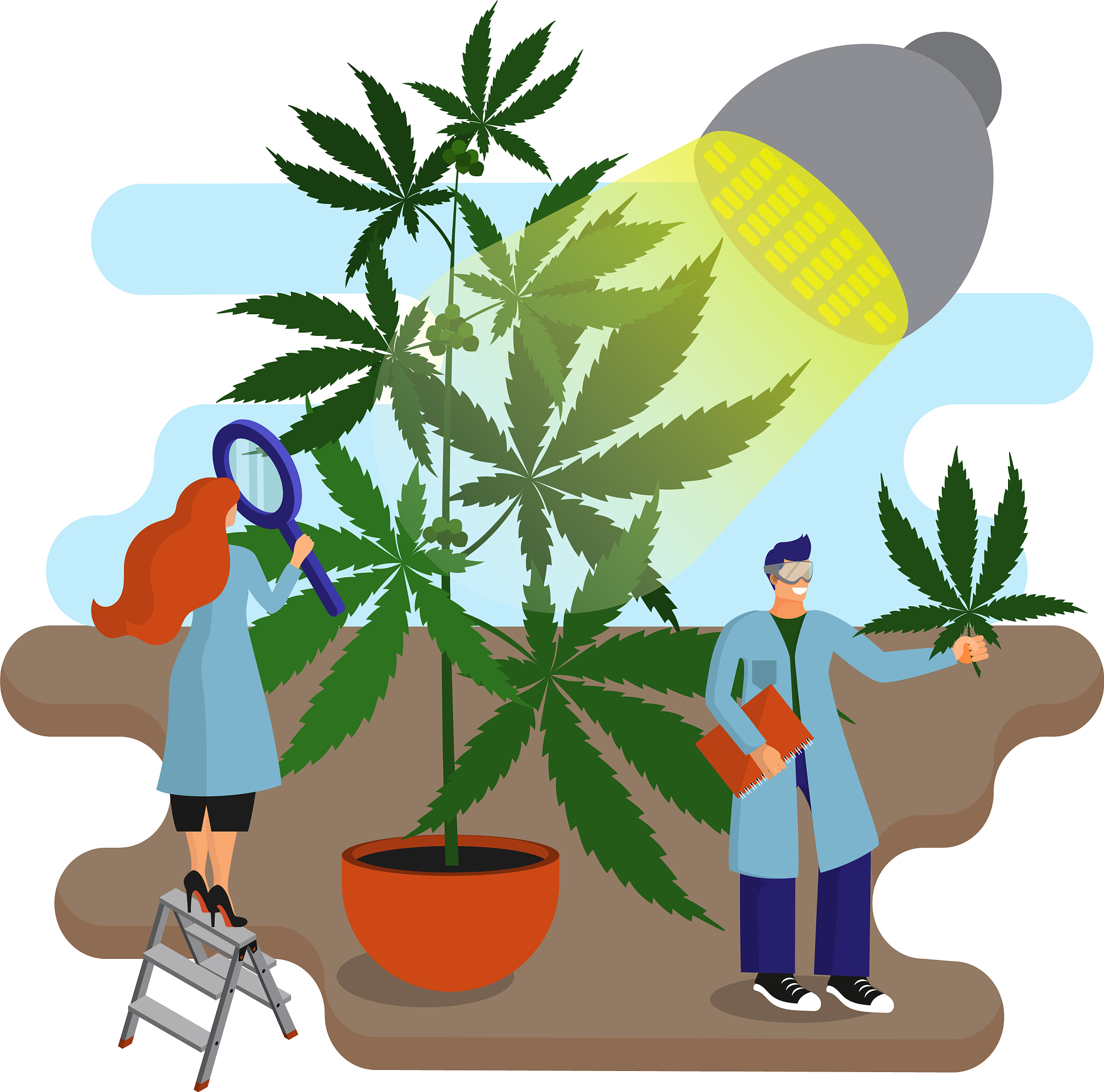 黑龙江农业职业技术学院生物制药技术专业：专业介绍、就业前景及学习建议
