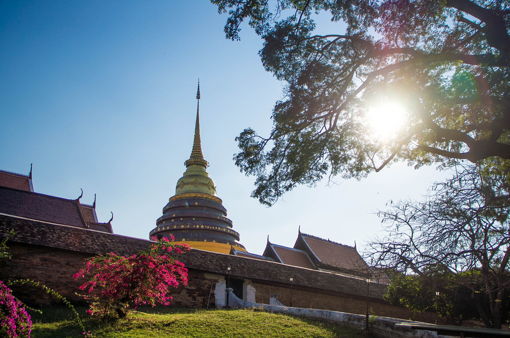 重庆资源与环境保护职业学院污染修复与生态工程技术专业好不好发展前景怎样；：：；；第三件事输入分隔符#################