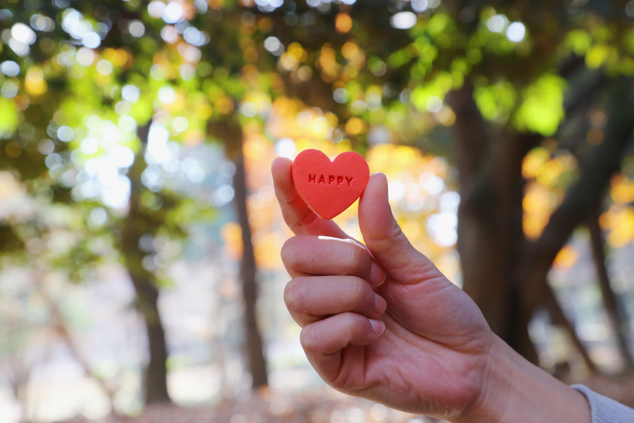 将心比心：构建更加人性化的社会关系