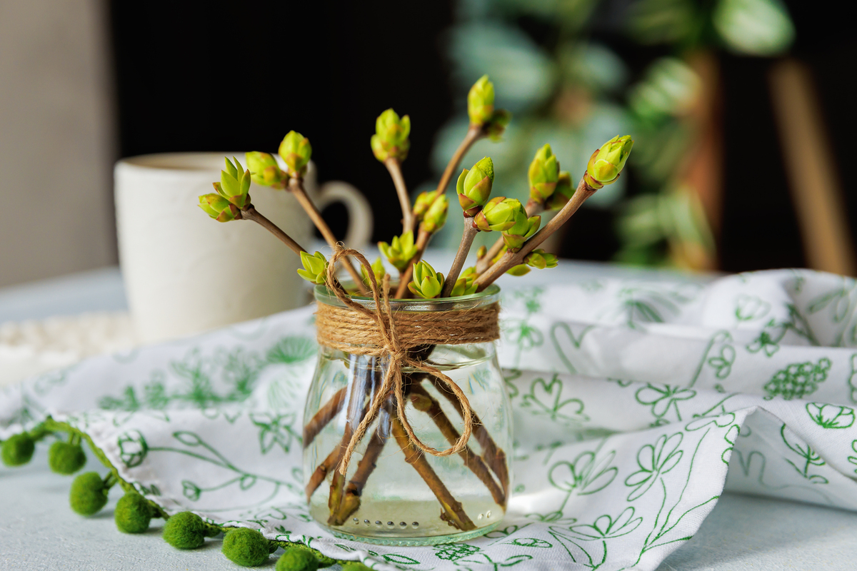 奶茶杯插花：环保美学新风尚，低碳生活新体验