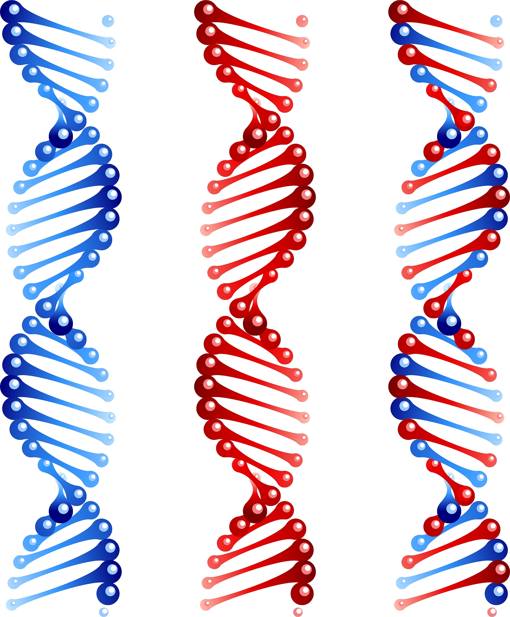 DNA AND CELL BIOLOGY 期刊 - 全面概述及研究领域