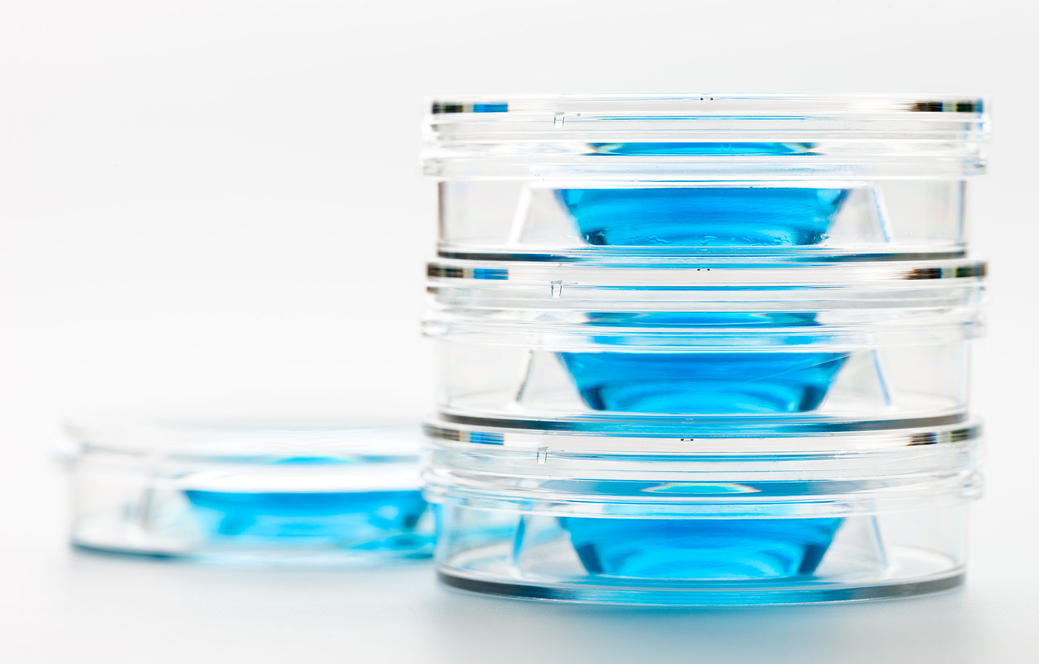 PCR操作便捷原因