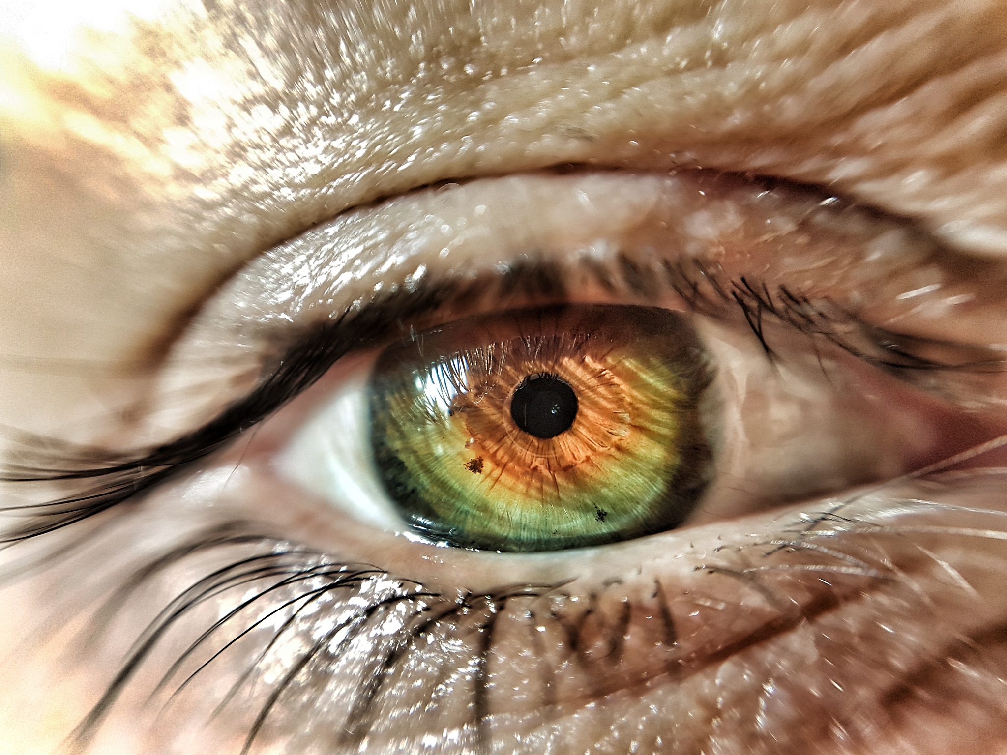 extreme close-up of human eye