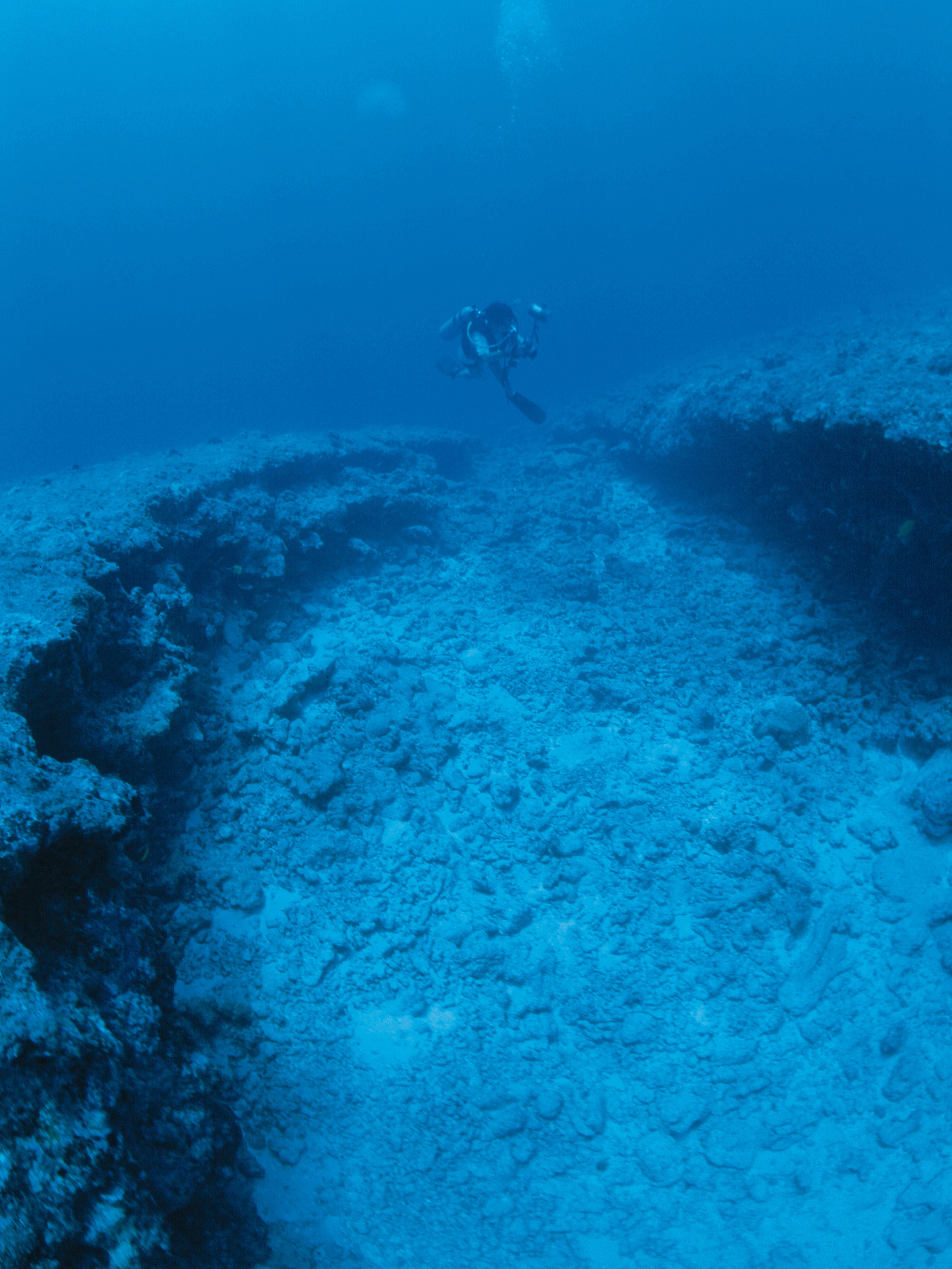 scuba diver and ocean floor