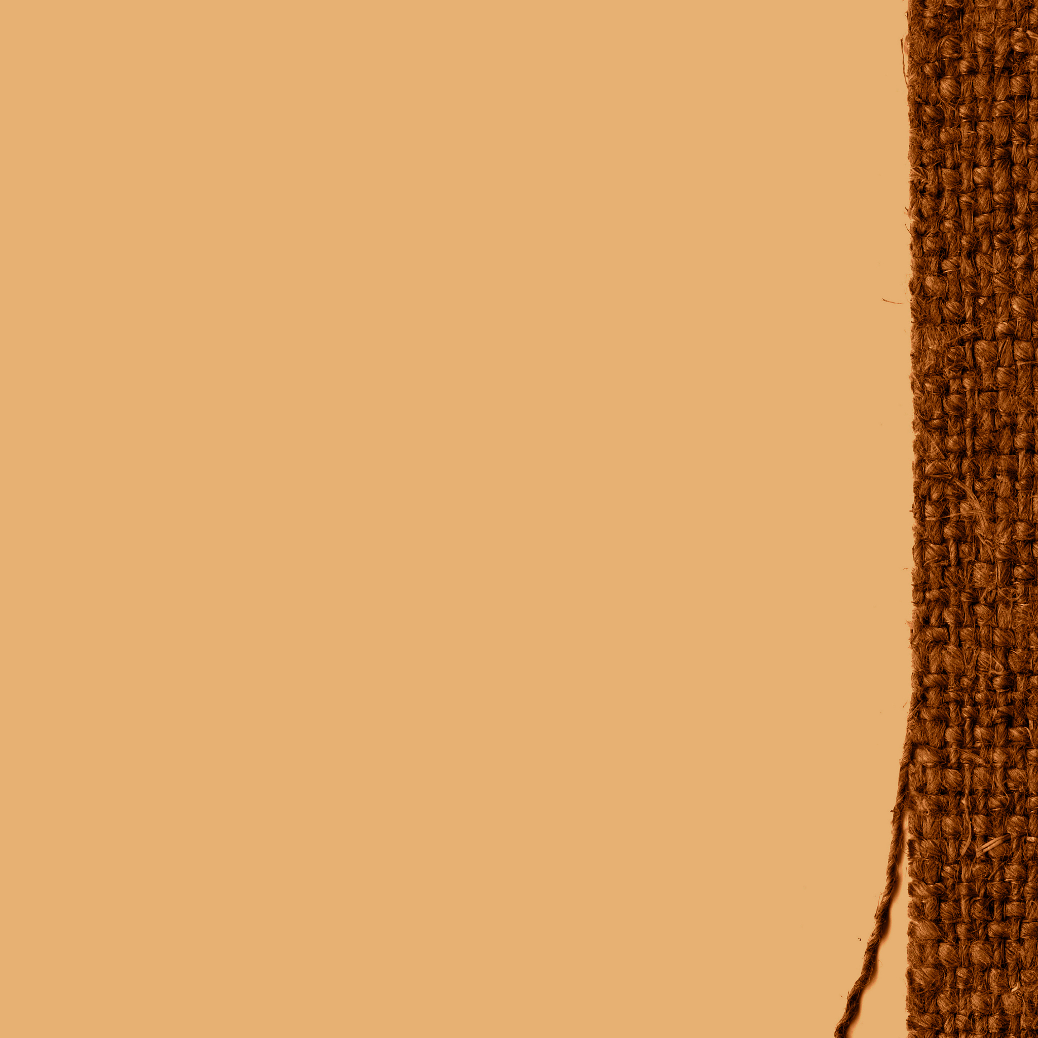 纺织高分子材料工艺专业发展前景如何？