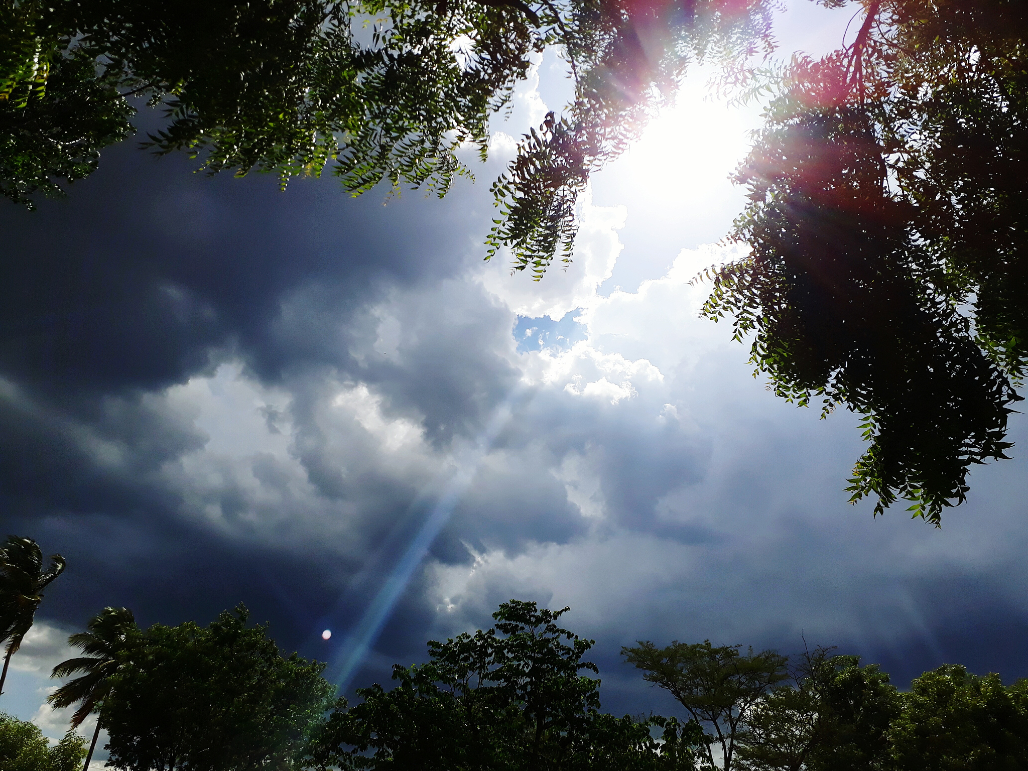 太阳雨(太阳雨是什么?)