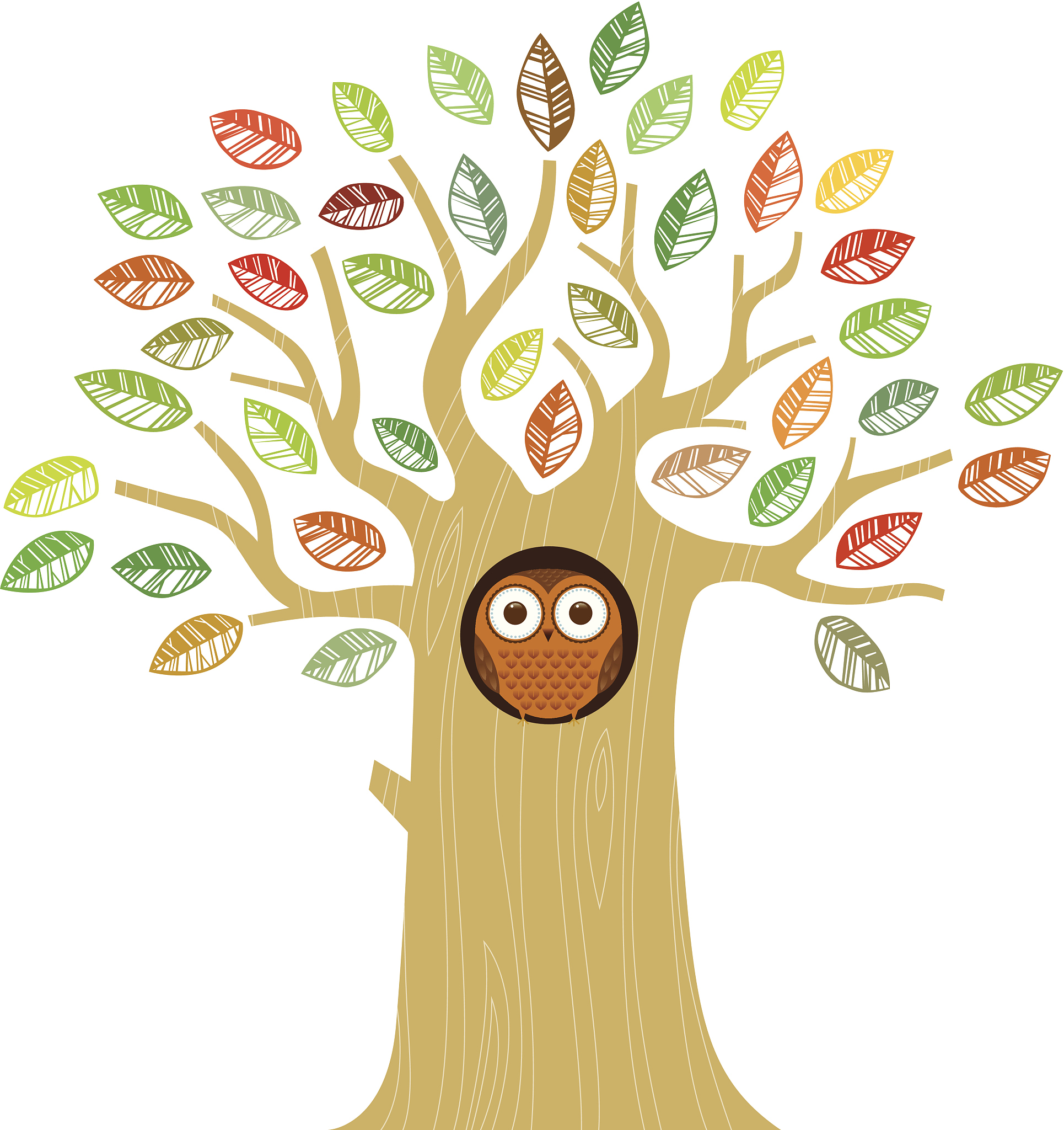 owl in a tree