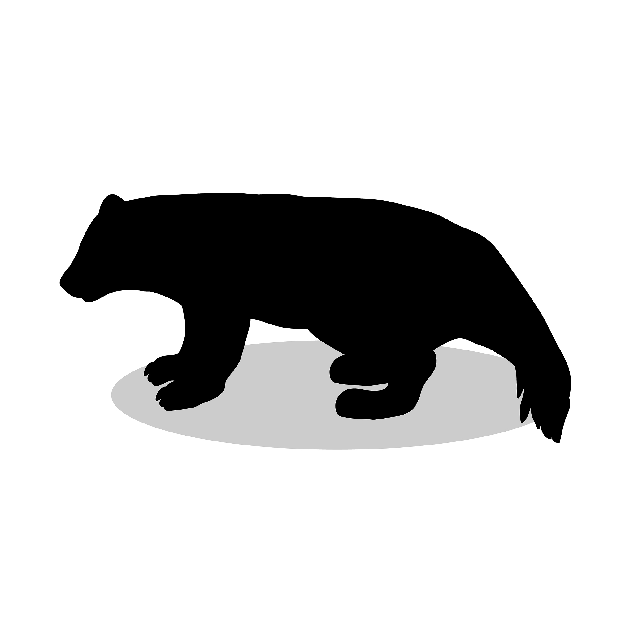 wolverine bear wildlife black silhouette animal