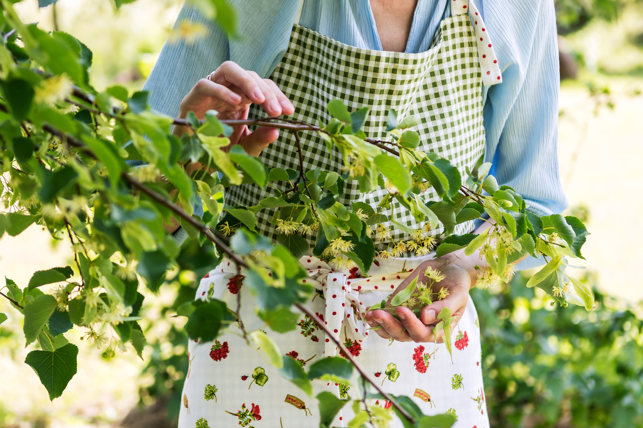 辽宁农业职业技术学院通信技术专业好不好发展前景怎样