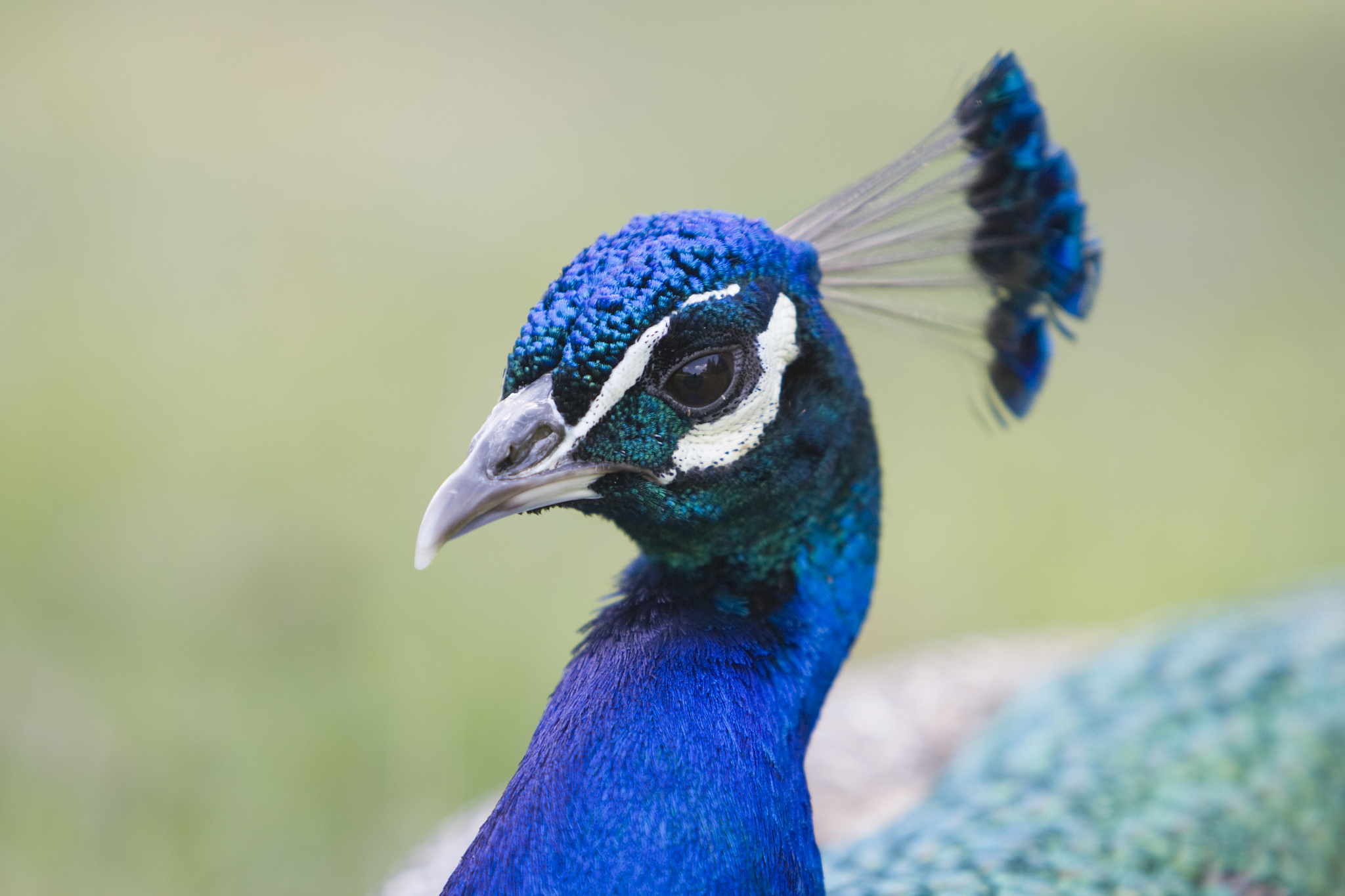 The Proverb of My Family: 'The Prime Minister's Belly Can Carry a Ship'