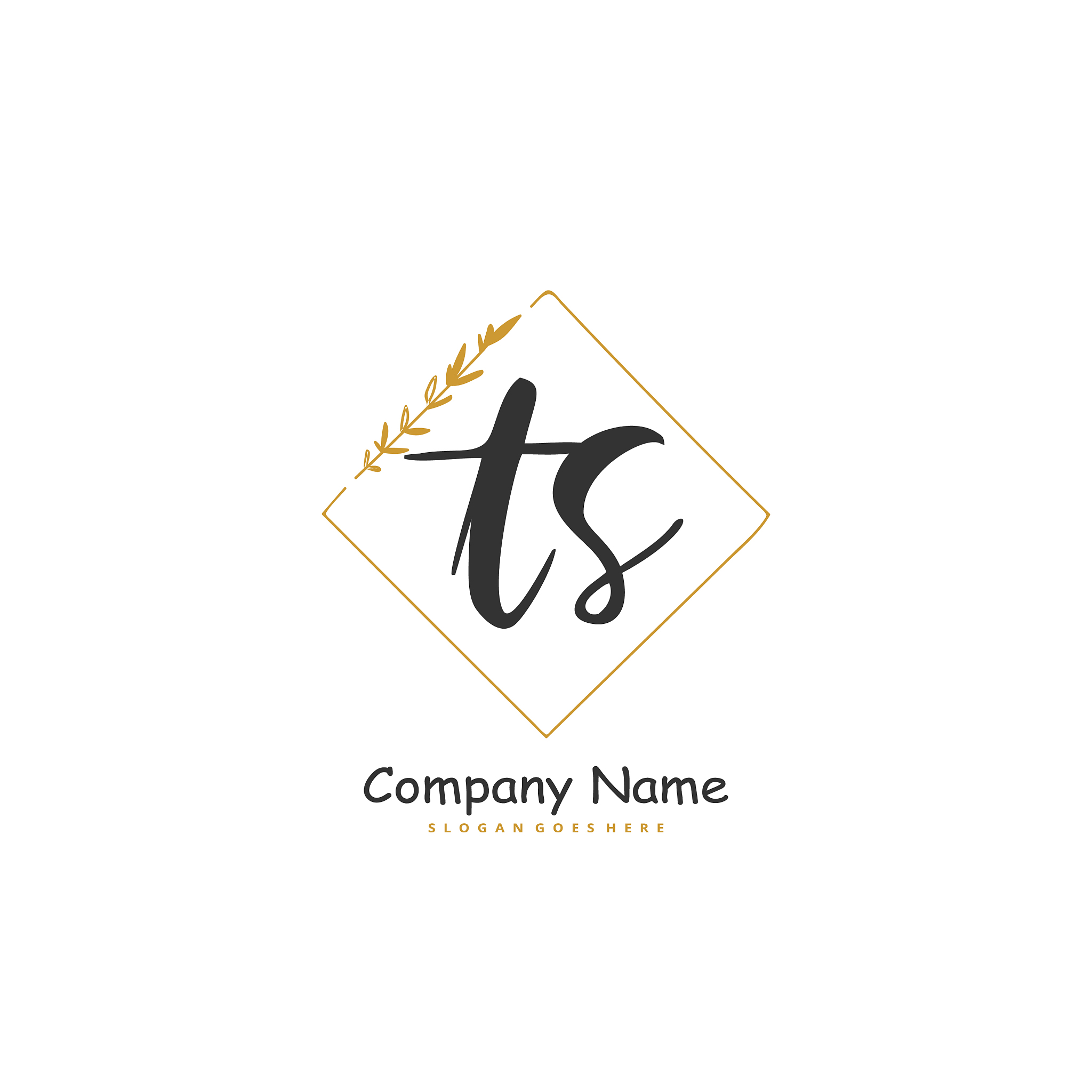 t s ts initial handwriting and signature logo