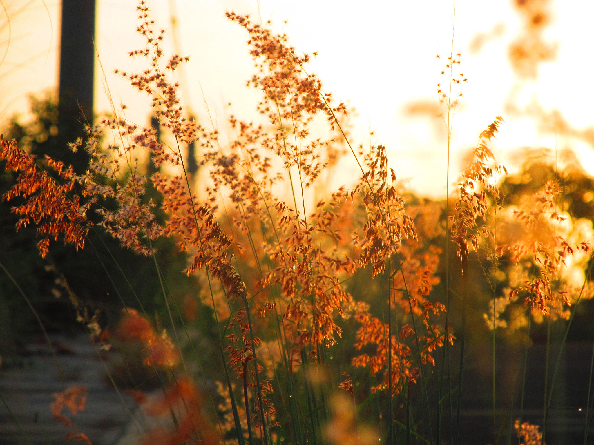 写一首三行诗要有意境