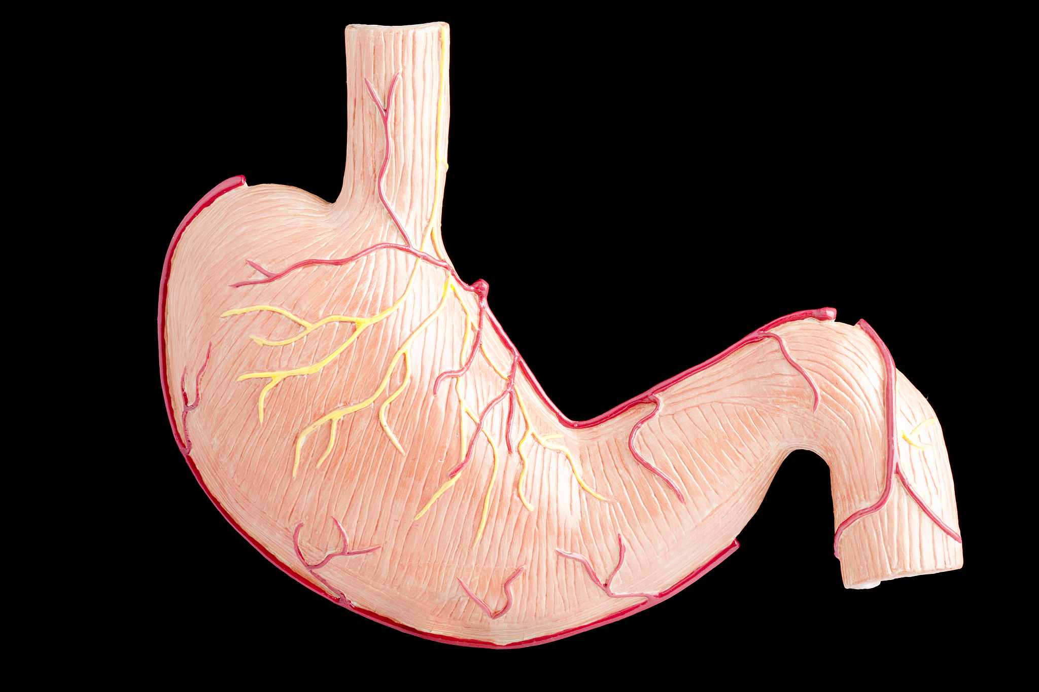 重庆护理学校针灸推拿门槛低吗？