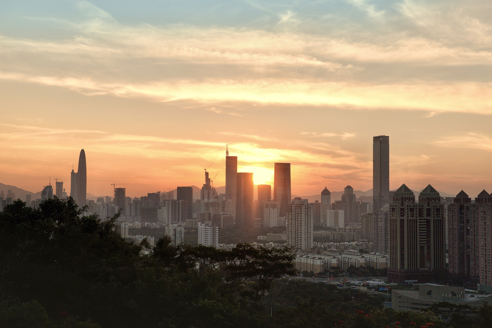 深圳高中升学率