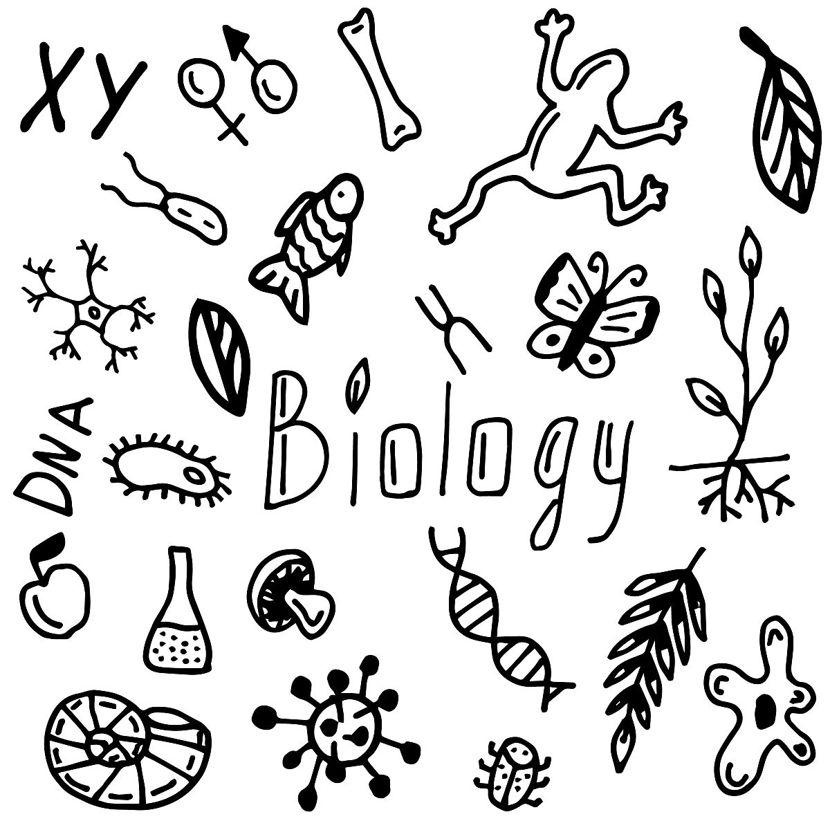 如何将发育生物学的知识框架和研究方法应用到结构生物学研究中？