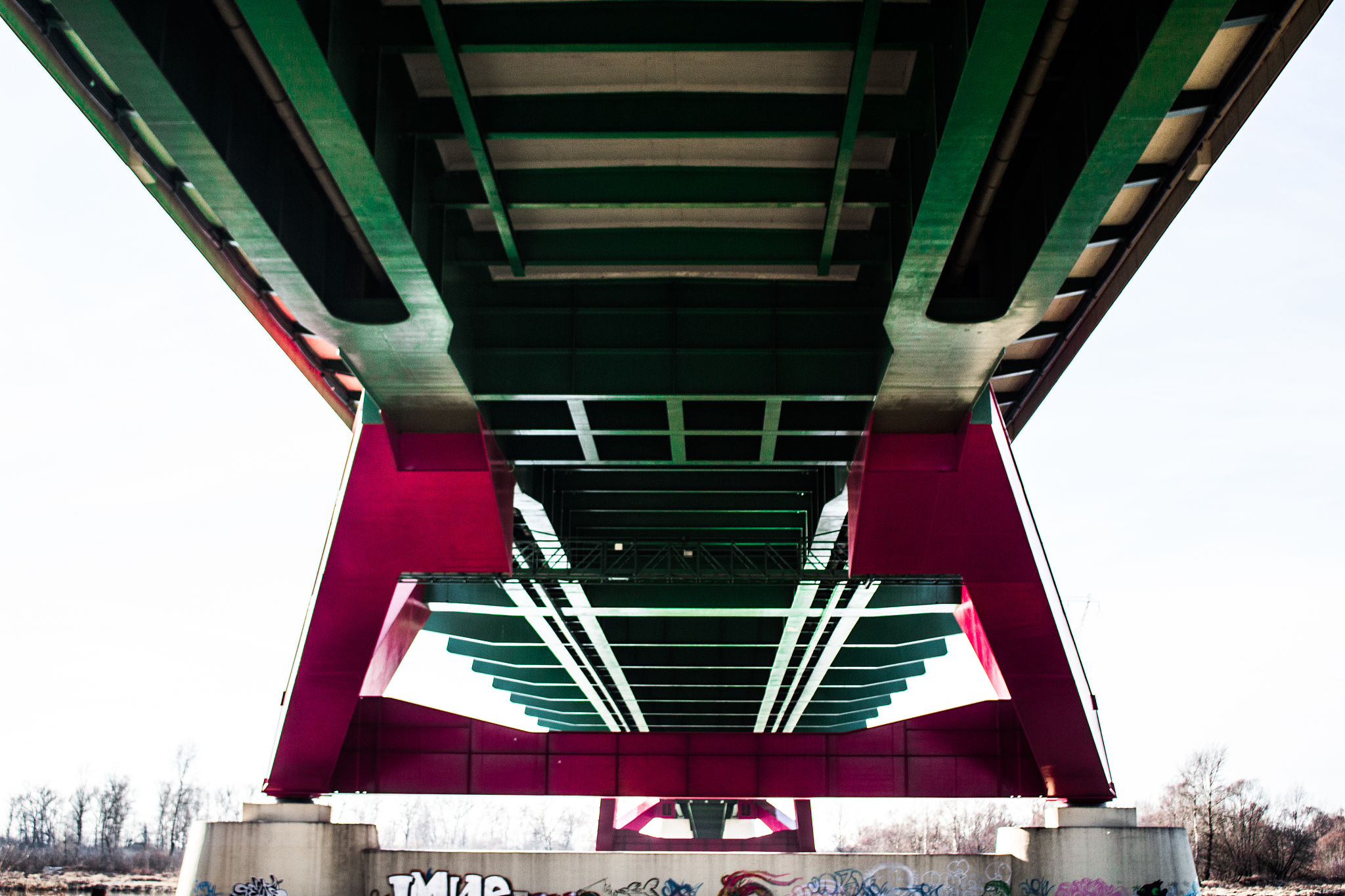 钢铁是怎样炼成的考点及答案