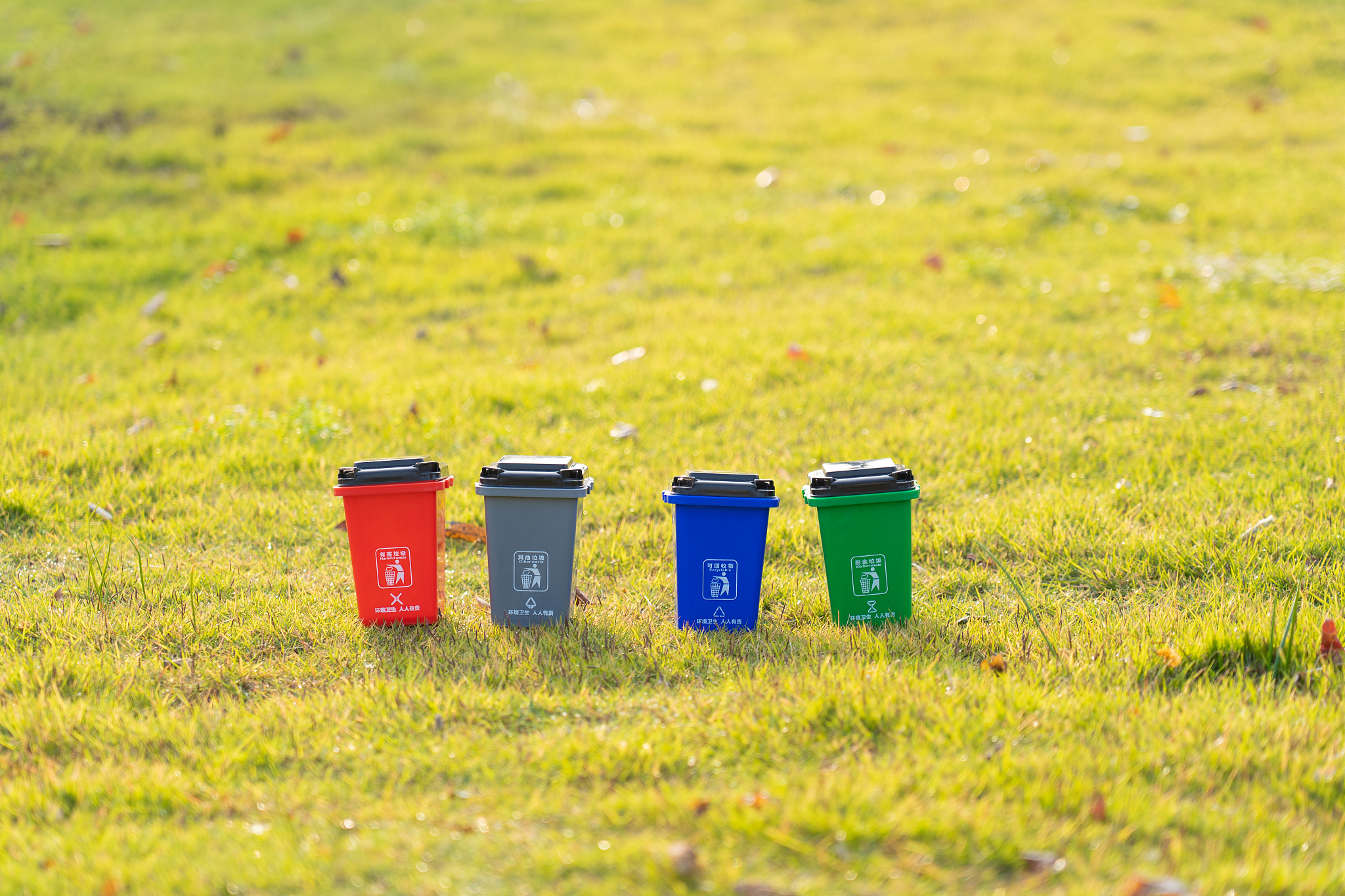 为小学生设计环保主题的作业要求五个不同内容的作业突出实践