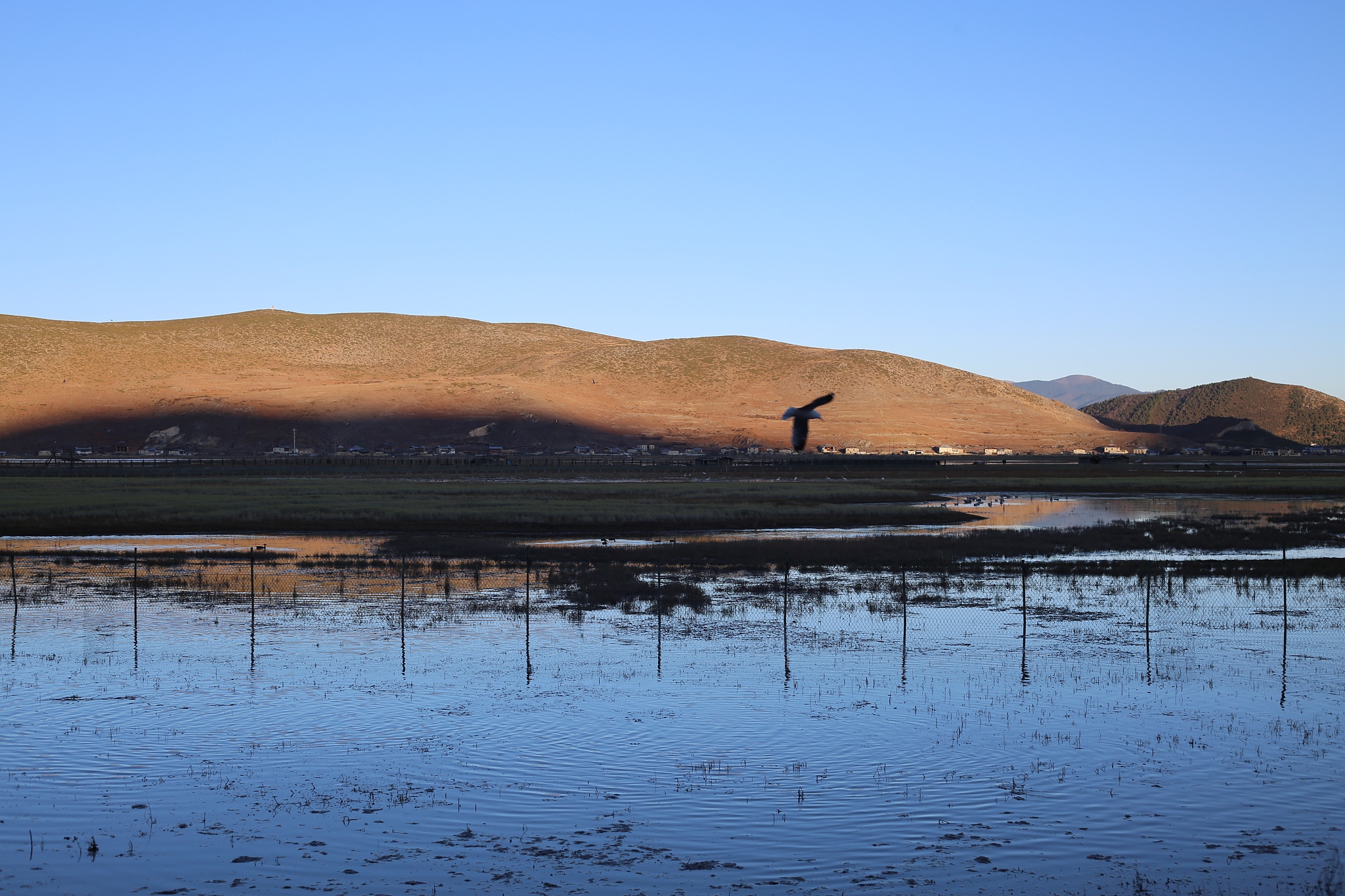 AI少女沐沐：16岁初中生日记