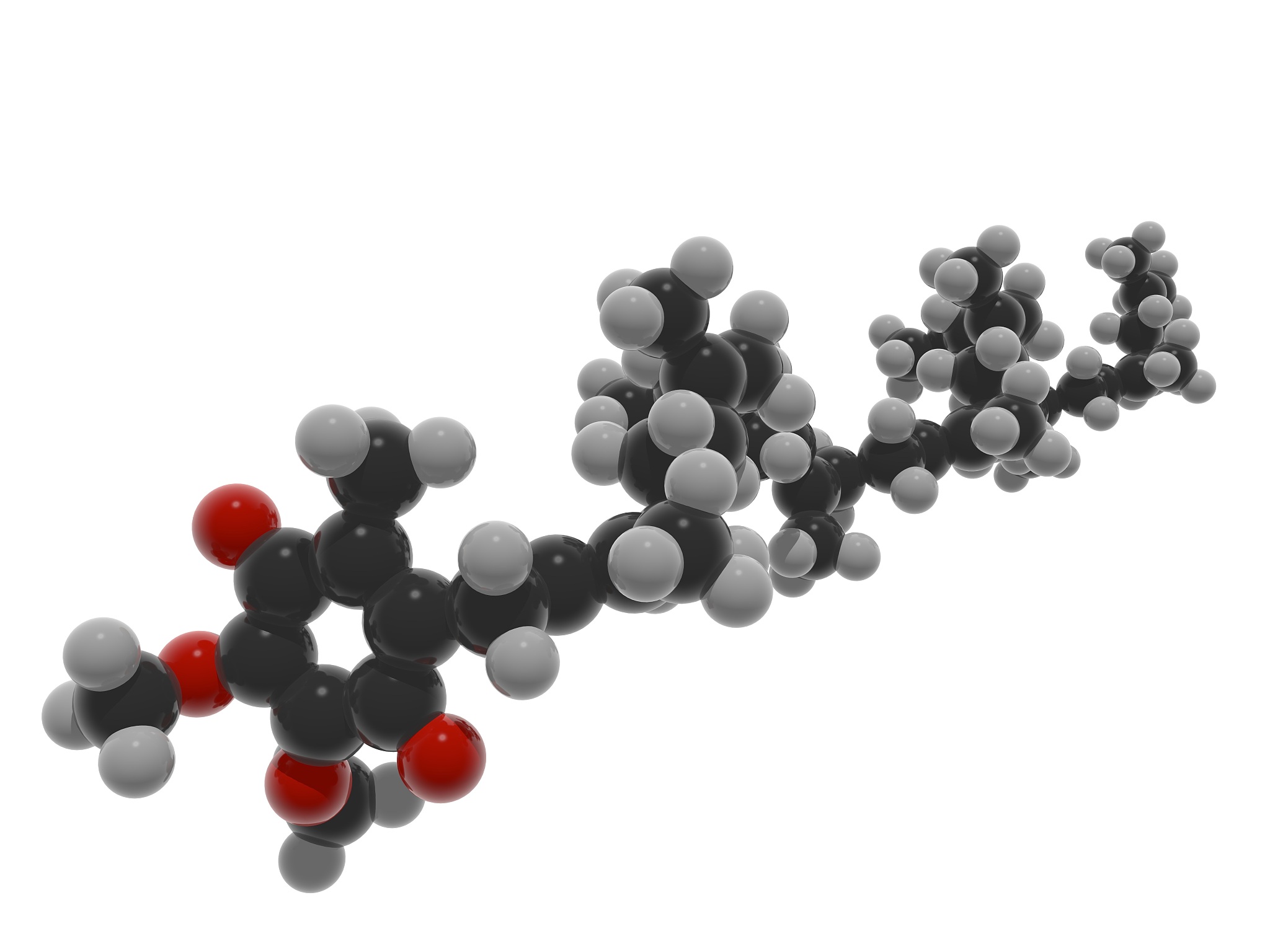 妊娠后期多羔母羊精粗比日粮影响：生长、繁殖和抗氧化性能研究