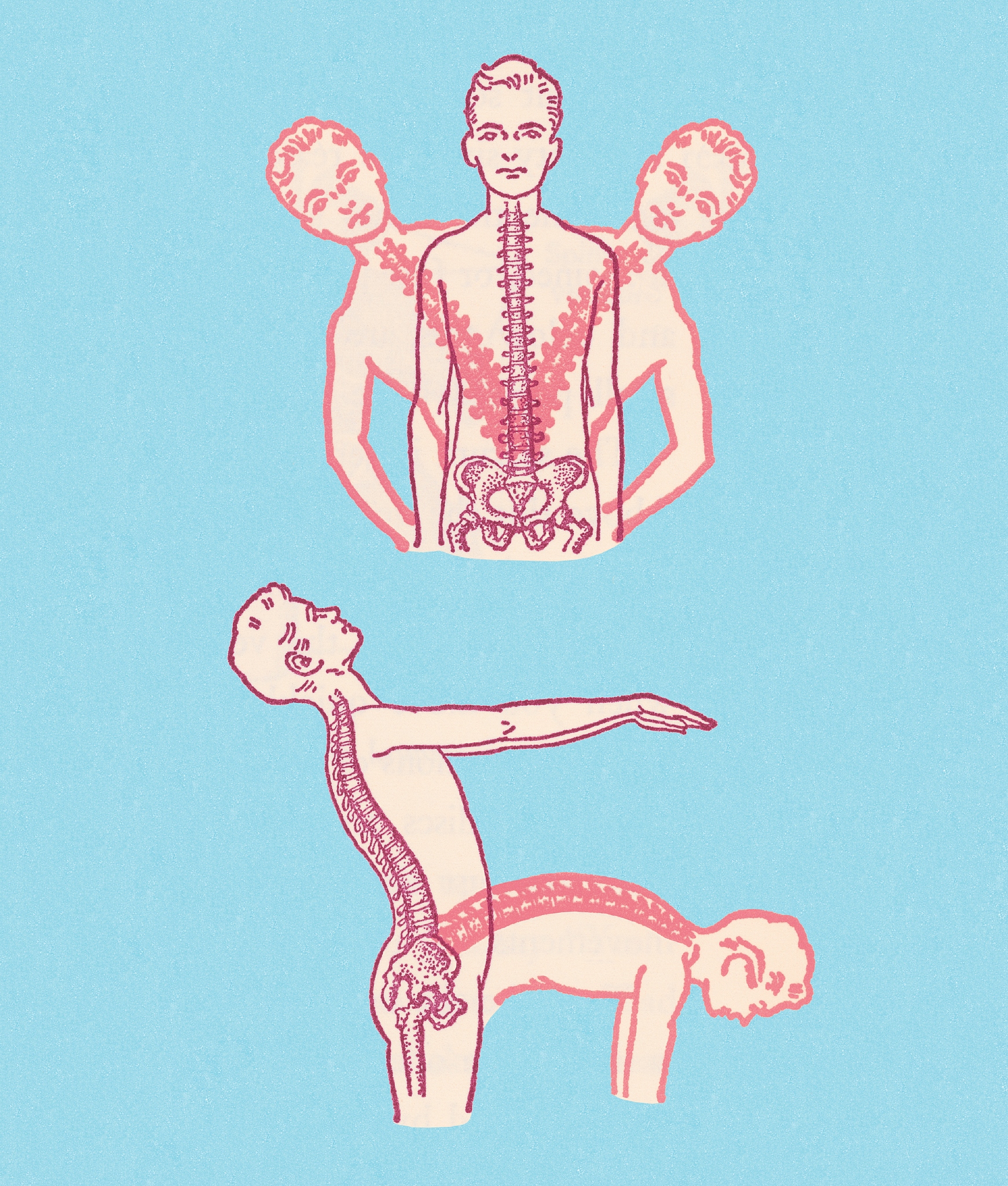 如何促进侧枝循环