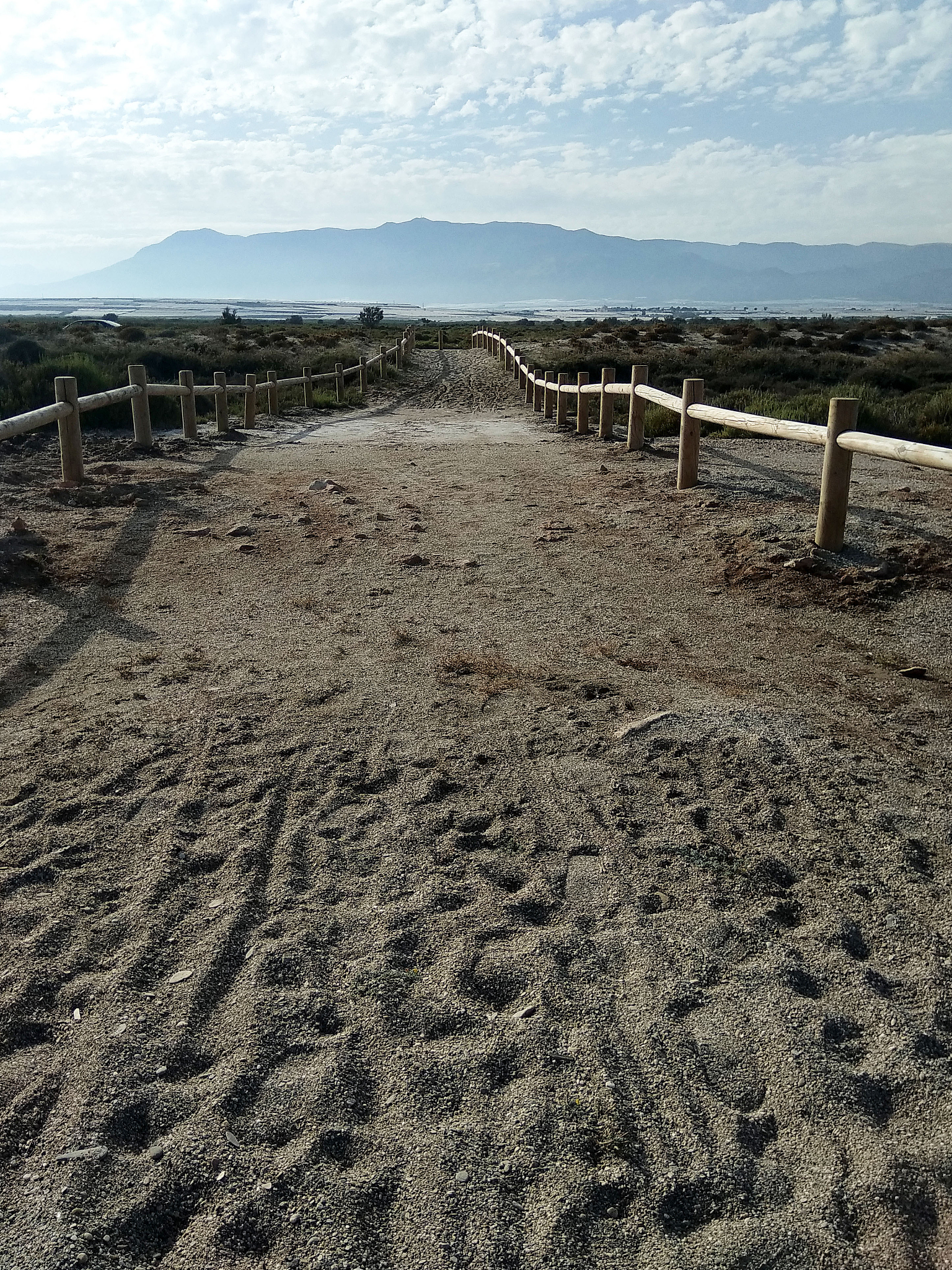 干旱区景观生态质量下降的补救措施 - 改善环境，保护未来