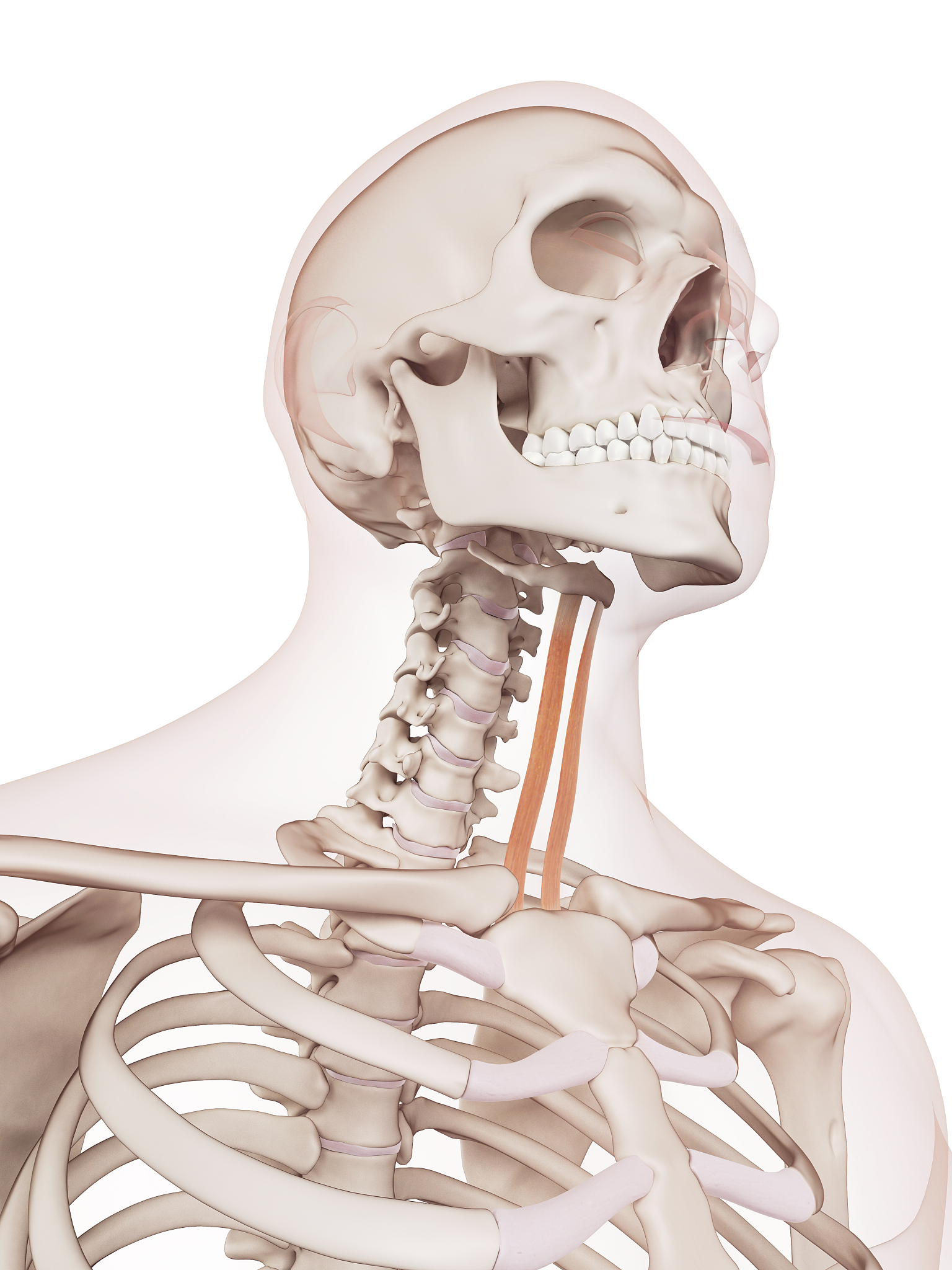 女孩子理科比较内向适合学什么专业？