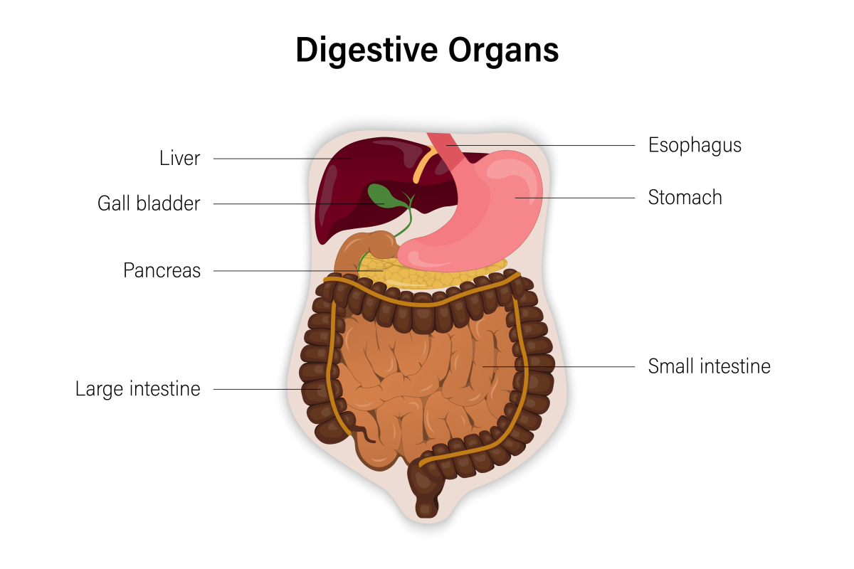 胰腺真性囊肿,这一医学术语或许对大多数人而言显得陌生而遥远,但实际