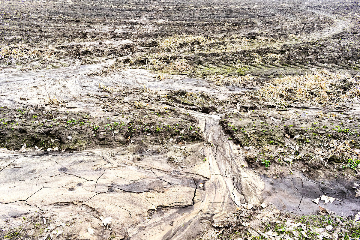 2020年华北雨水下半年多吗