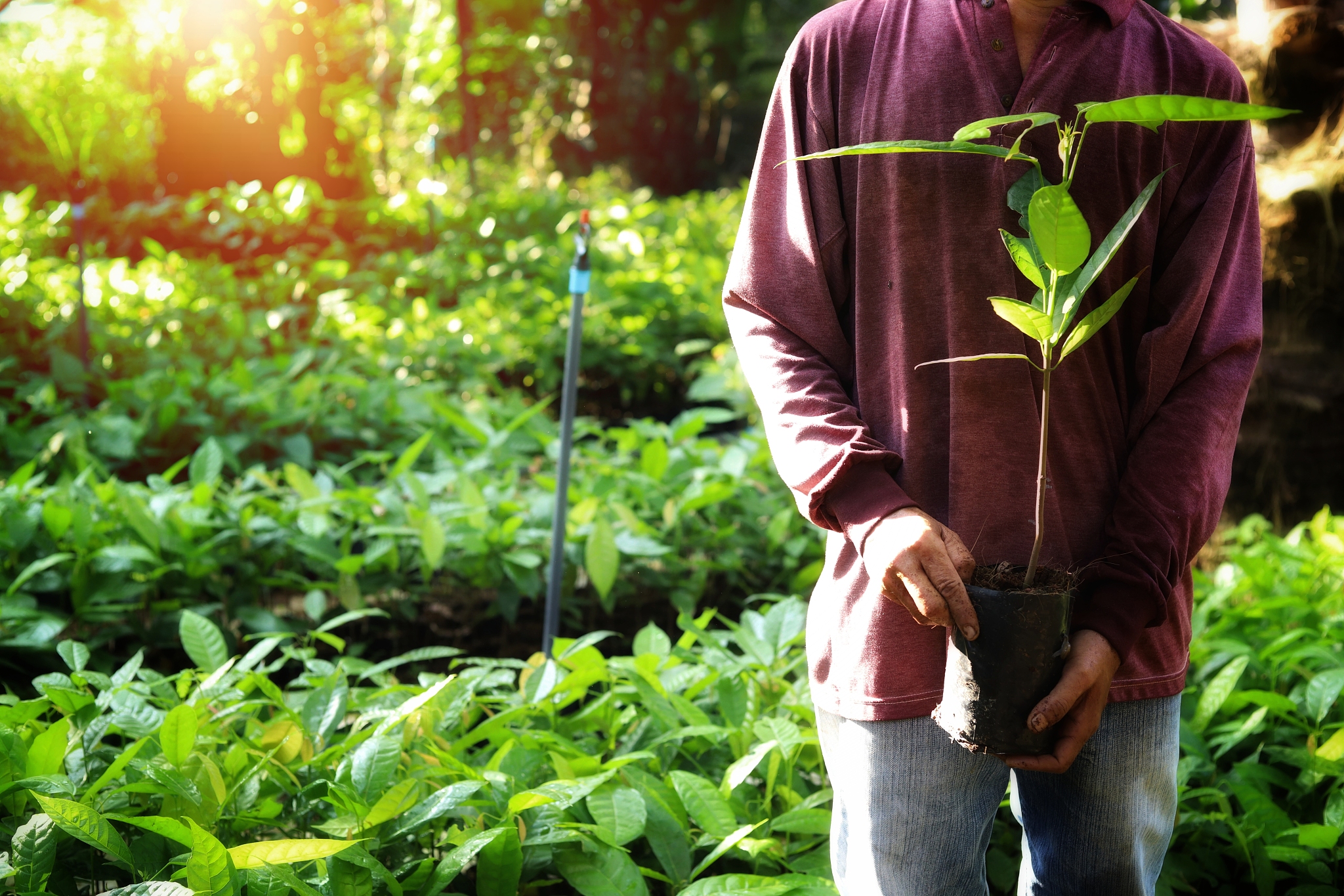 绵阳农业学校2022年热门专业推荐 - 农业人才培养基地