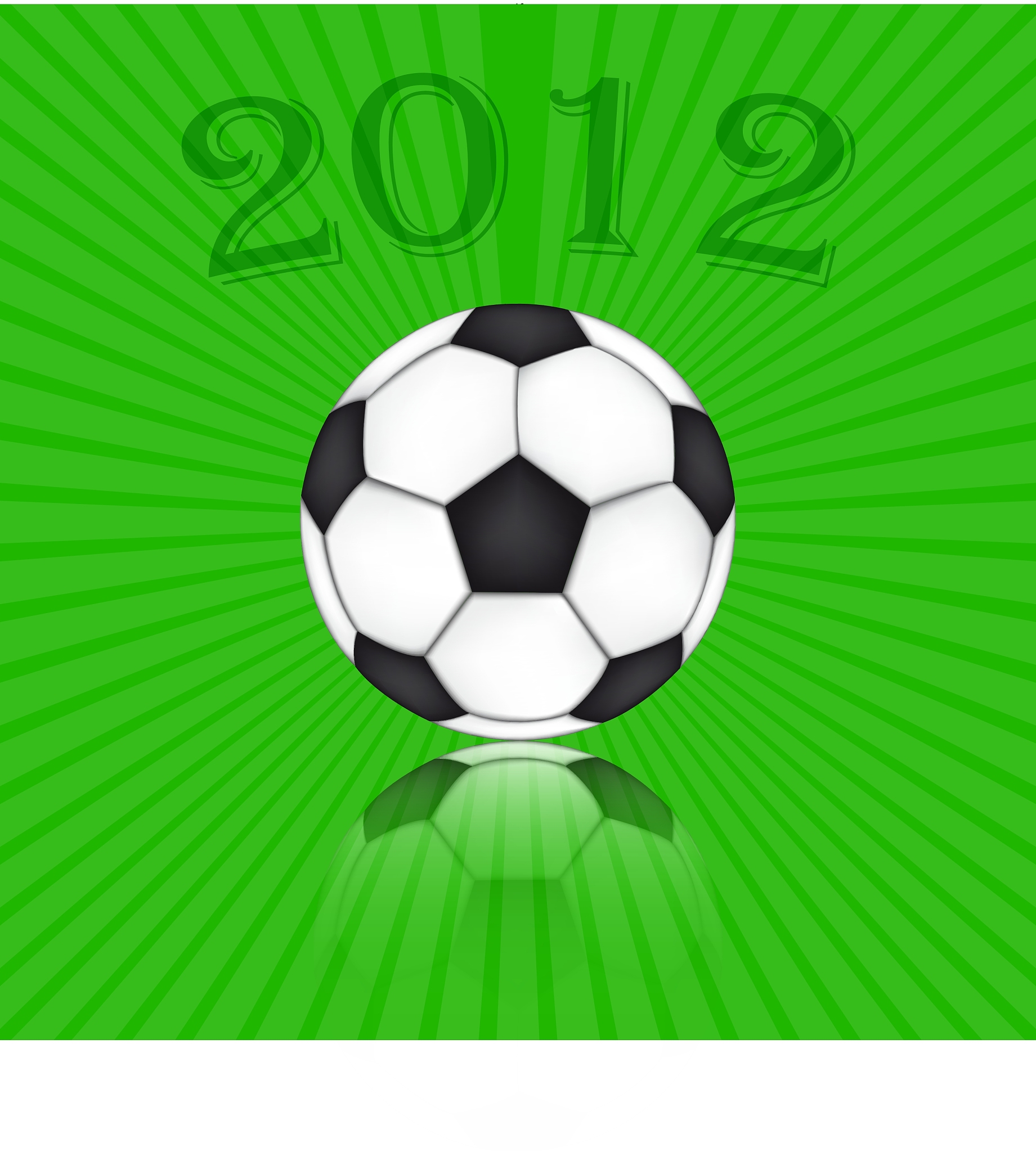 soccer ball euro 2012